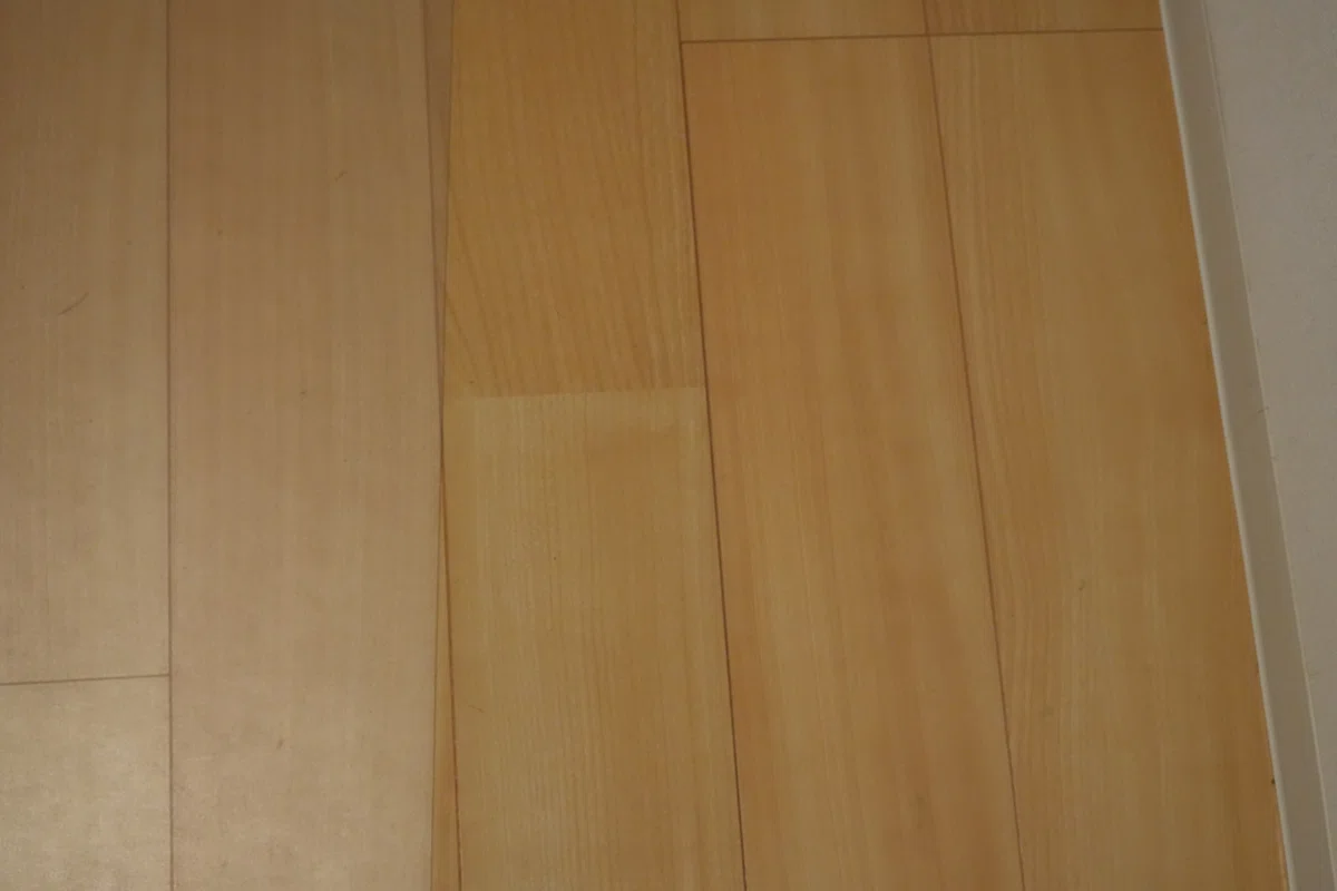 Dyson V12 Detect Slim Fluffy (SV46 FF EX) Optic ライト
