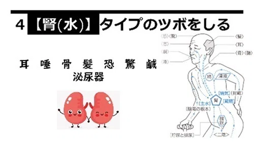 あなたのツボのトリセツ ～東洋医学的体質チェック～｜函館視力障害