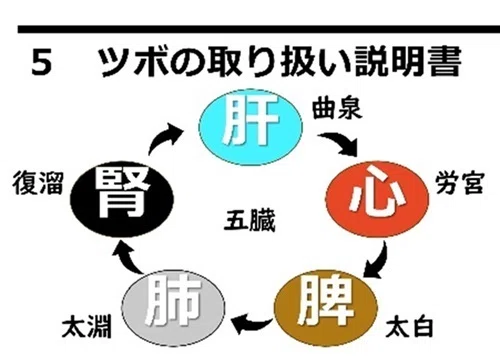 あなたのツボのトリセツ ～東洋医学的体質チェック～｜函館視力障害
