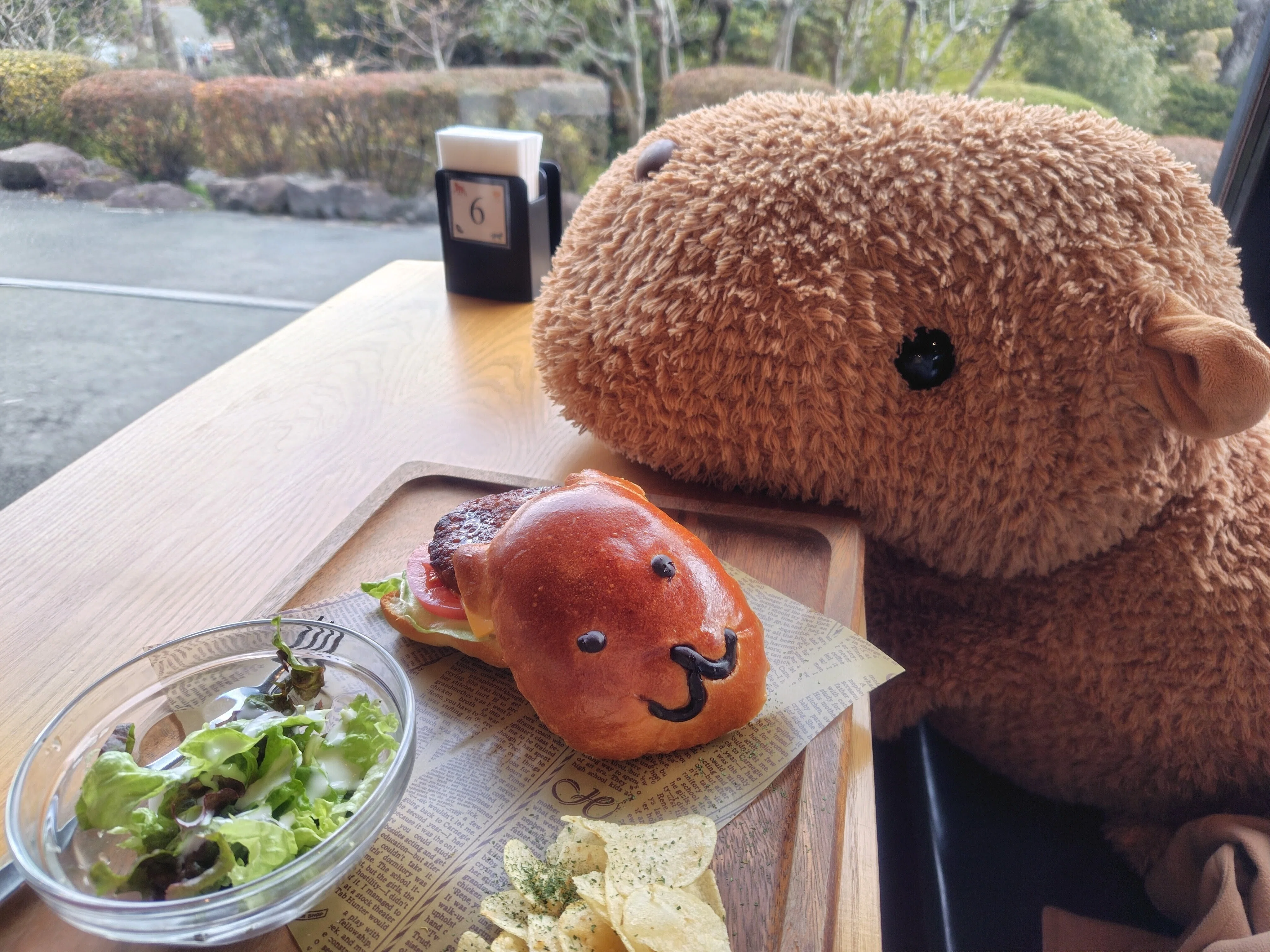 伊豆高原】カピバラとくまさんにほっこり旅｜悲哀