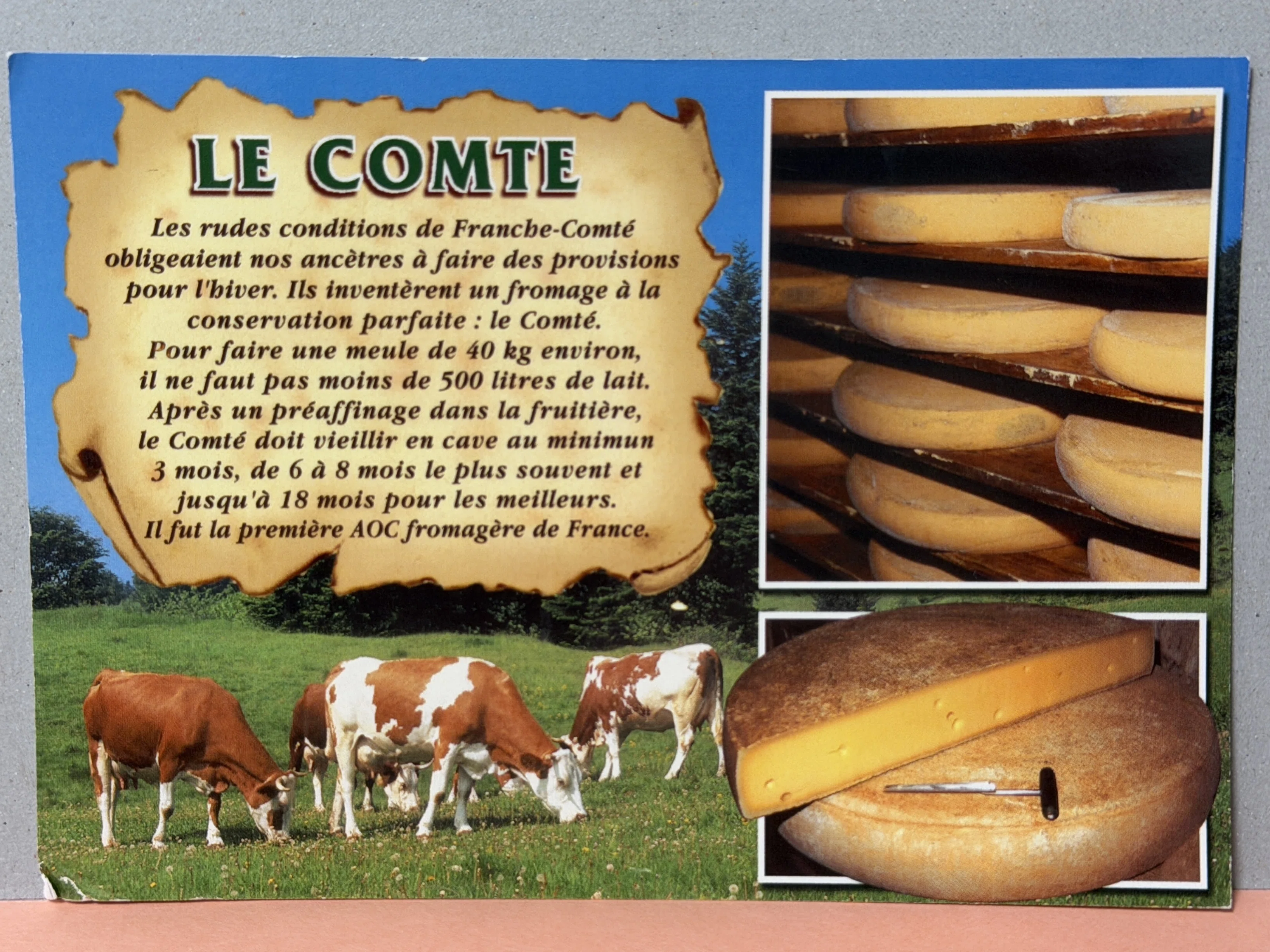 Postcrossing Log #4 | The first one received is let Chappy read