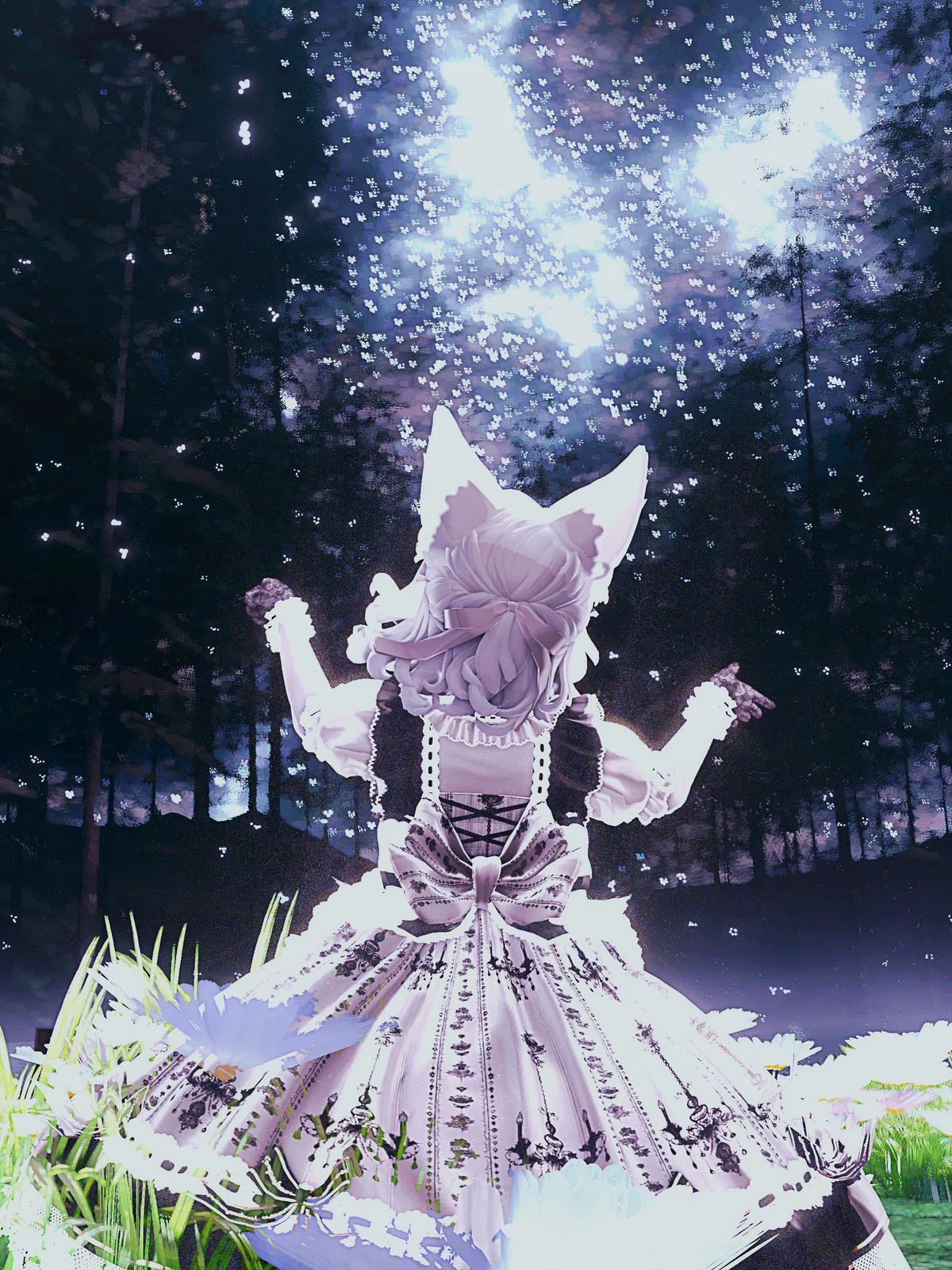 Starlit Canopyの星空と湖