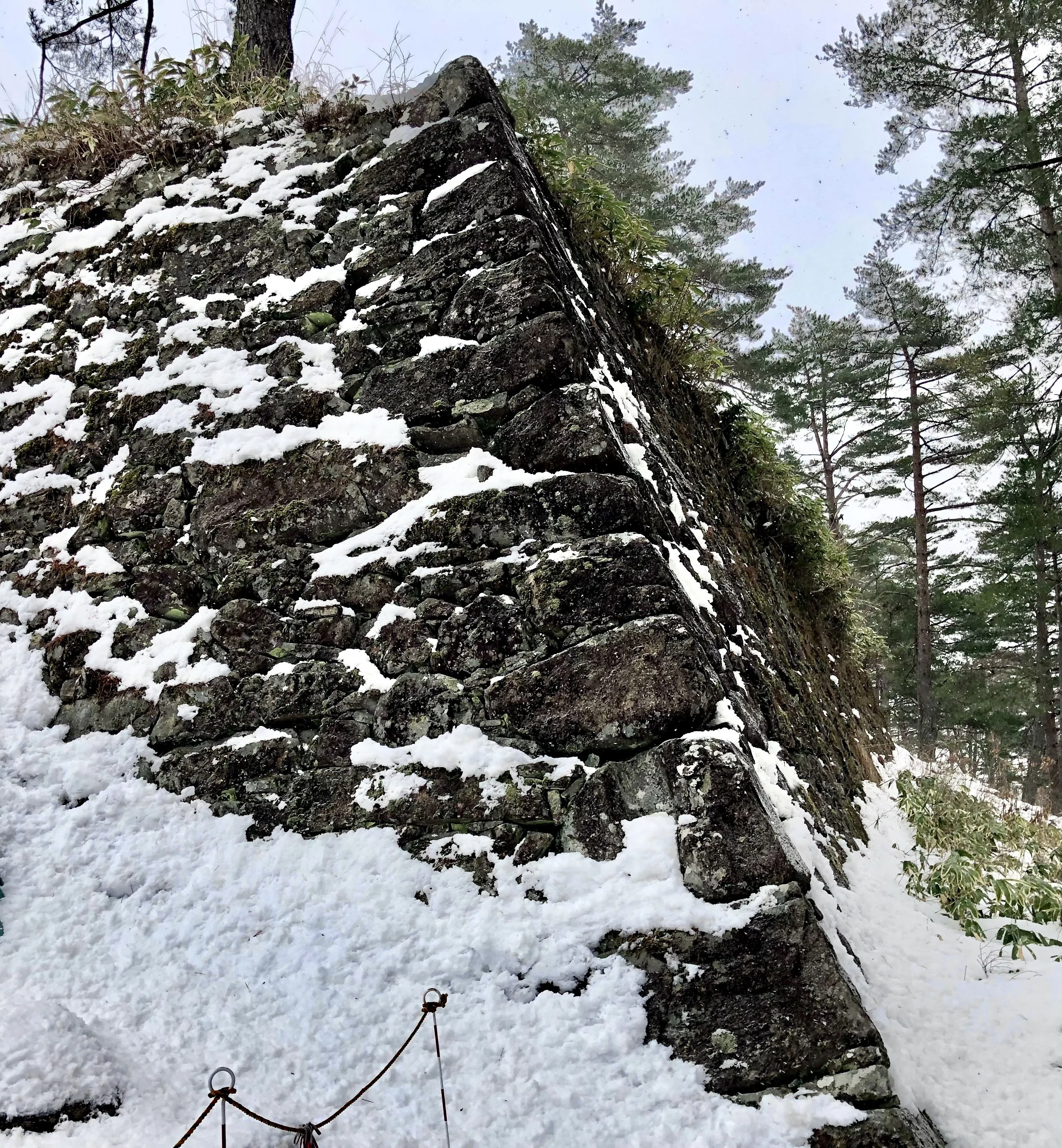 クマの居ぬ間に飛騨山城巡り。高山城編。｜ぐこ