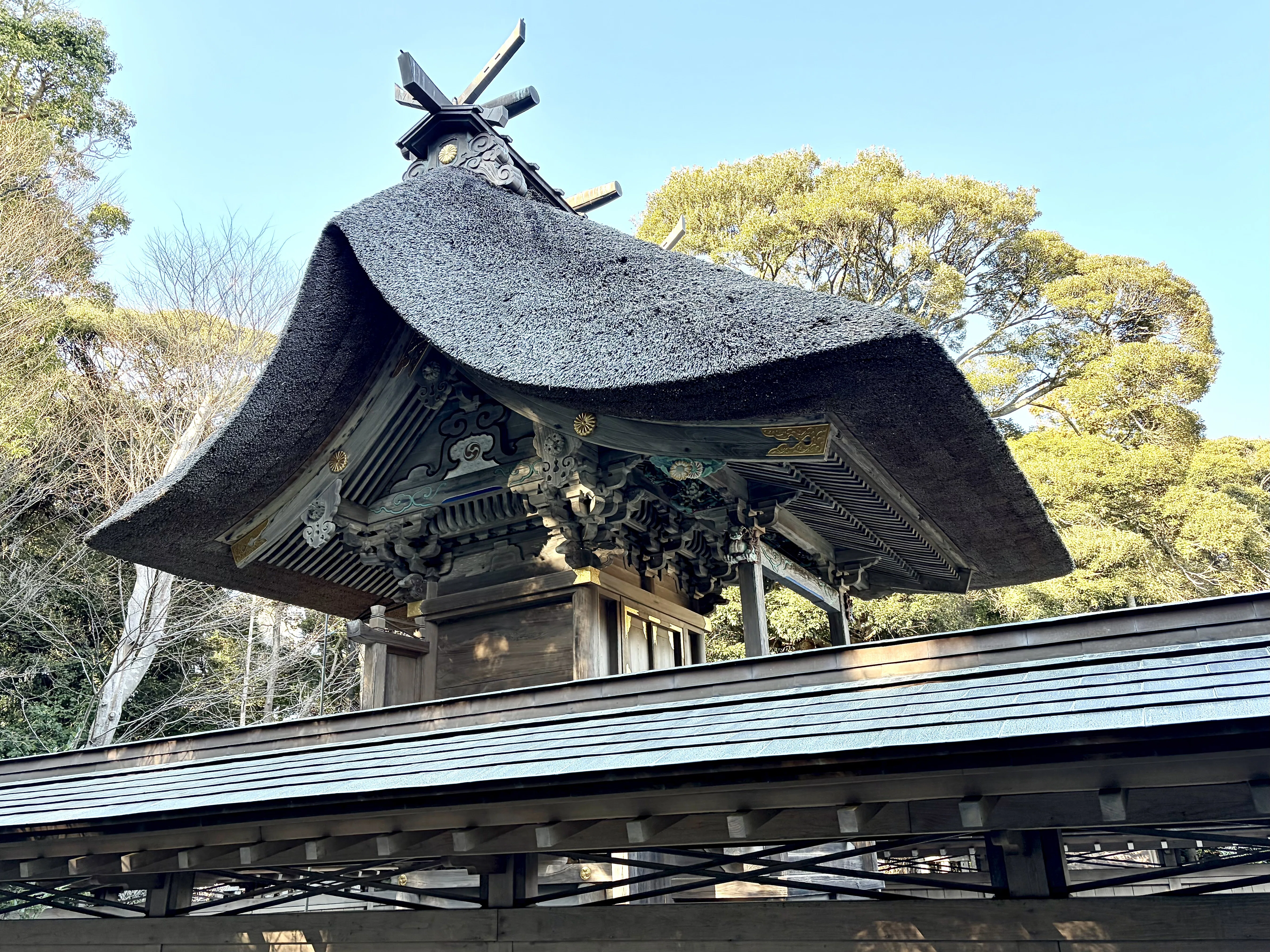 大洗磯前神社】海中の鳥居で有名な神社を隅々まで回る｜最後の最後で大