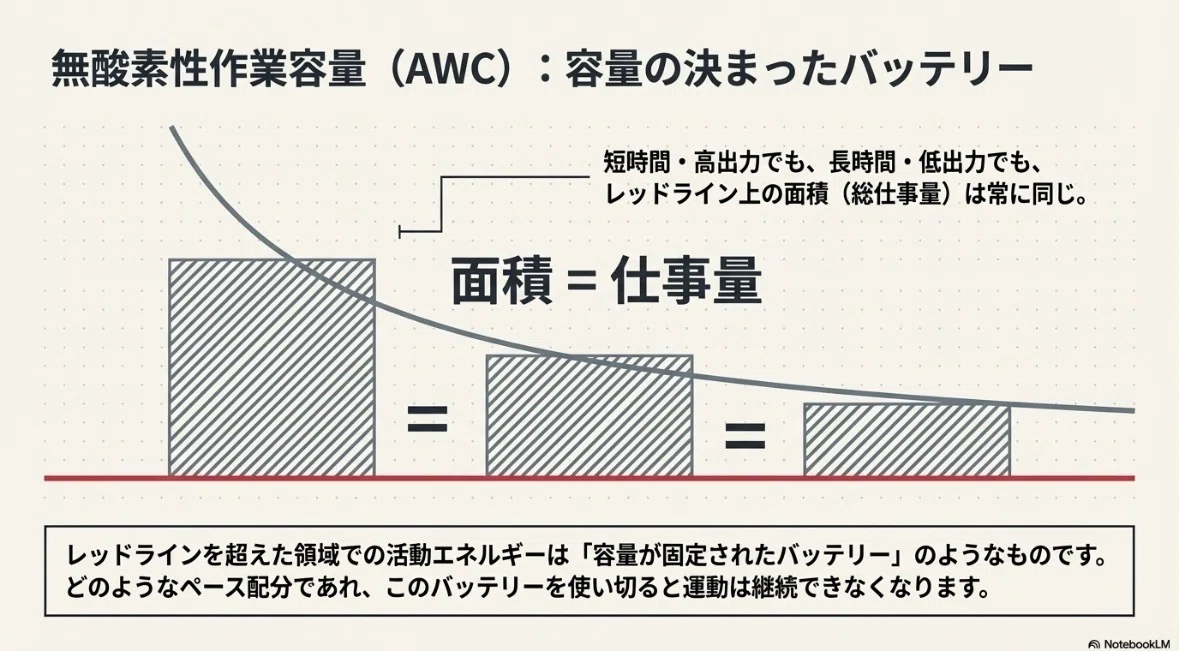 【初心者必見】持久力の限界を引き上げる科学的トレーニング法｜あふろん