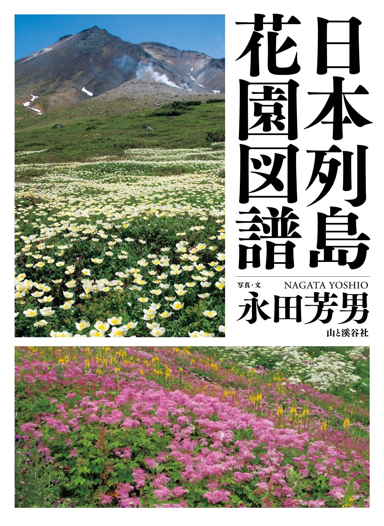 新刊のご案内その②【2026年3月発売】『くらべてわかる動物の痕跡