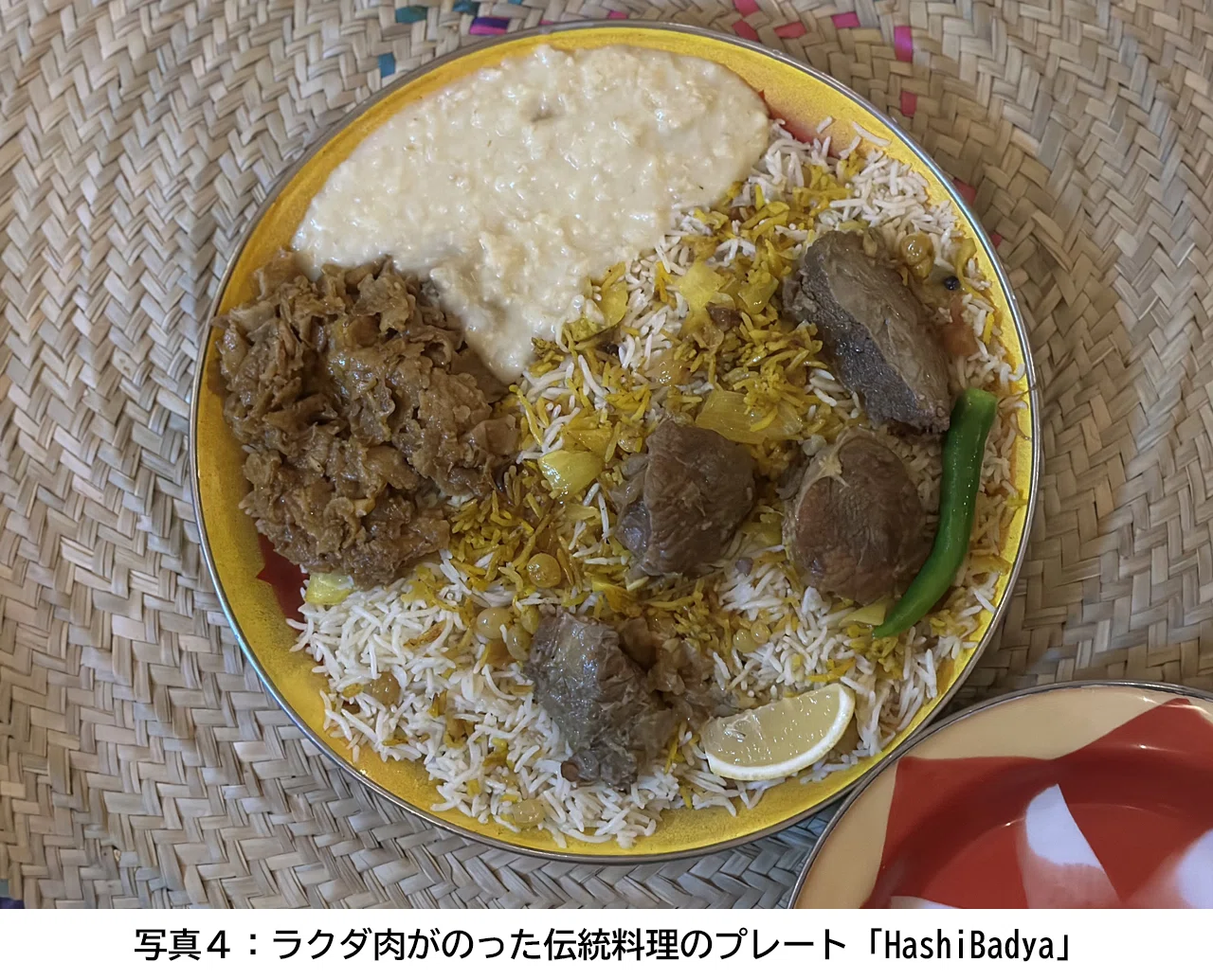 活動歴および当時の関連ビジュアル記録