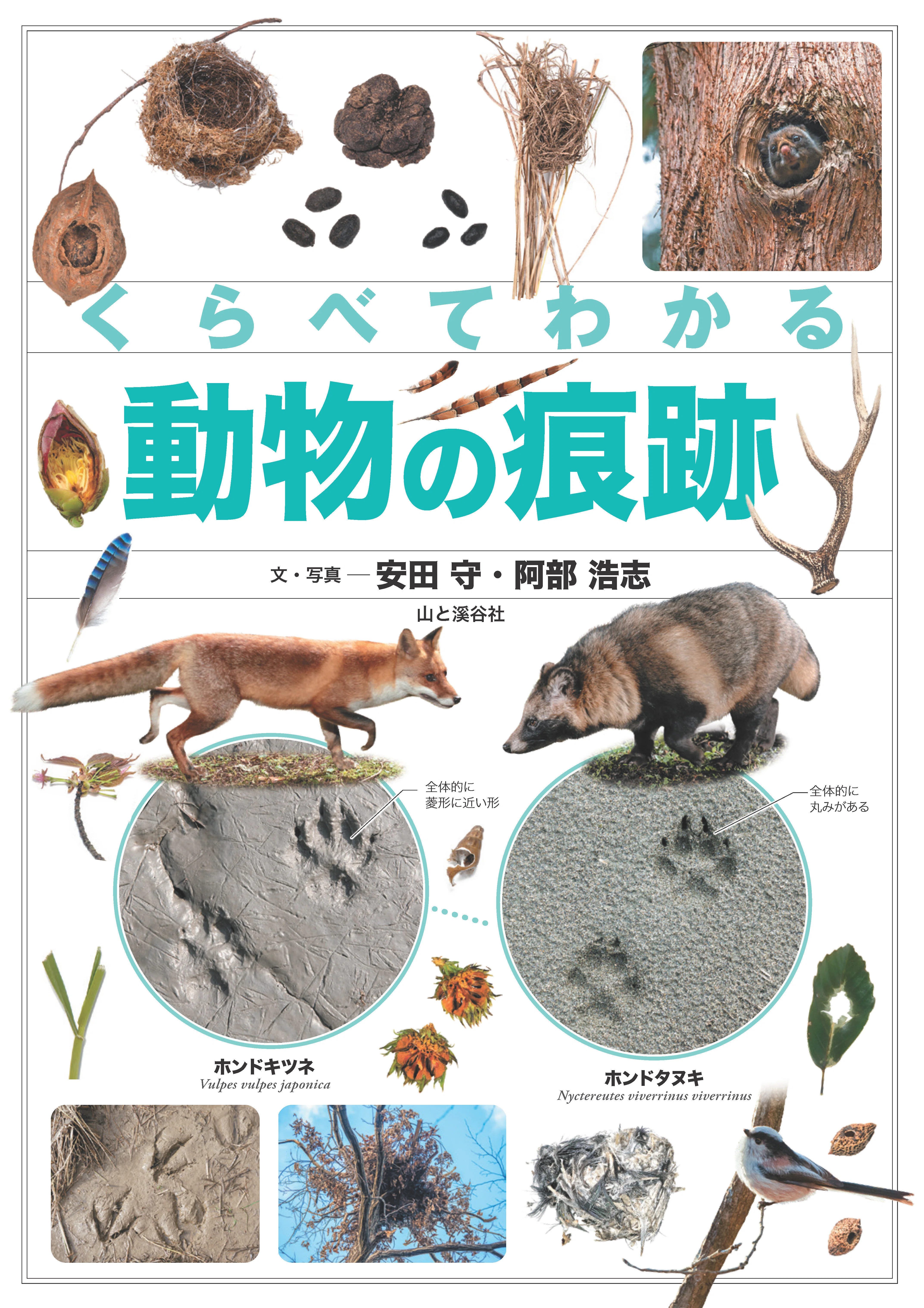 動物実験関係本6冊 新刊のご案内その②【2026年3月発売】『くらべてわかる動物の痕跡