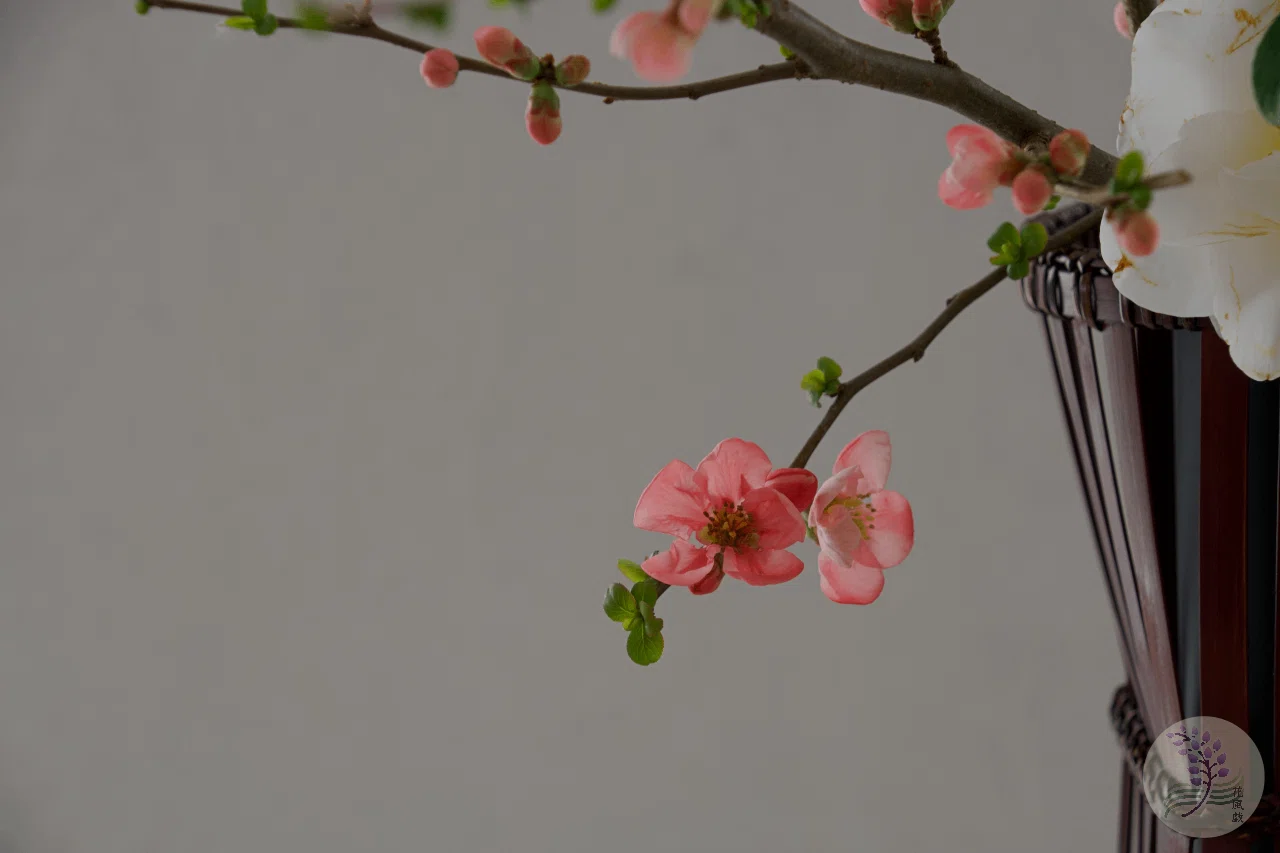 ドイツの庭に椿を咲かせたい｜まり🌸花追い人
