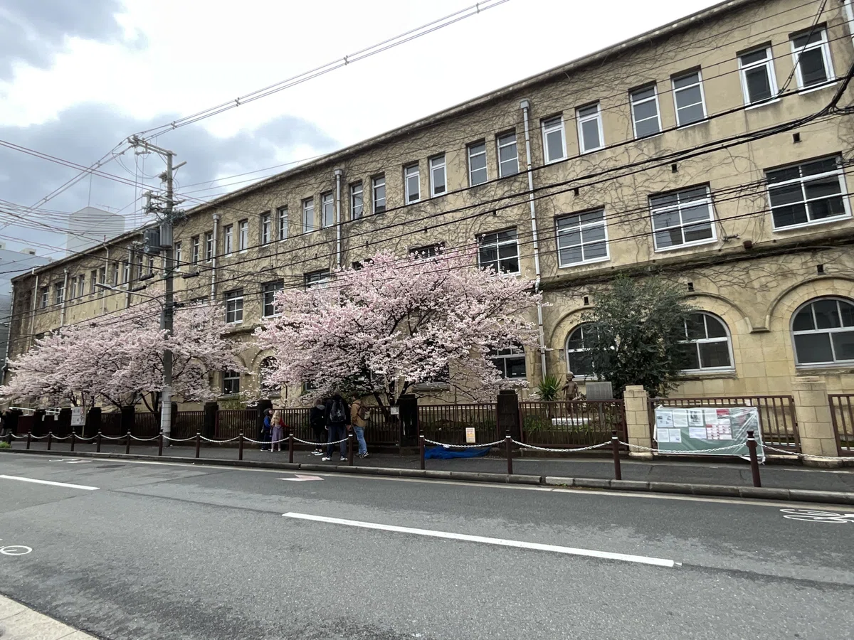 ノーベル化学賞受賞の北川進教授の母校の旧成徳中学校校舎前の春めき桜：2026年3月19日（木）｜藤井秀昭（『京都居候叢書』著者）