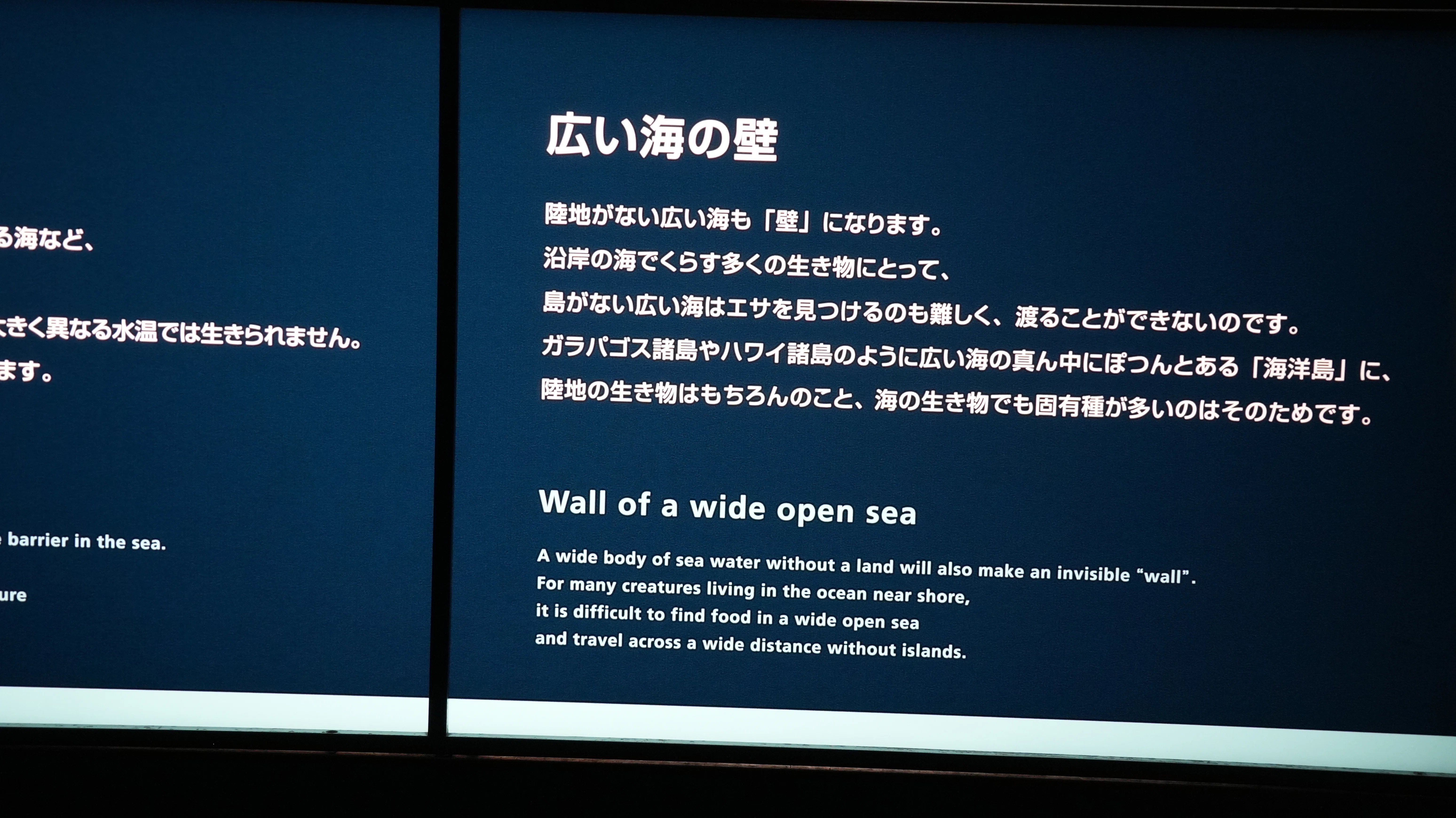 入手不可能！A Background to English(英国の環境) アクセスコード未使用】World English 1 大学 英語 教科書 - メルカリ