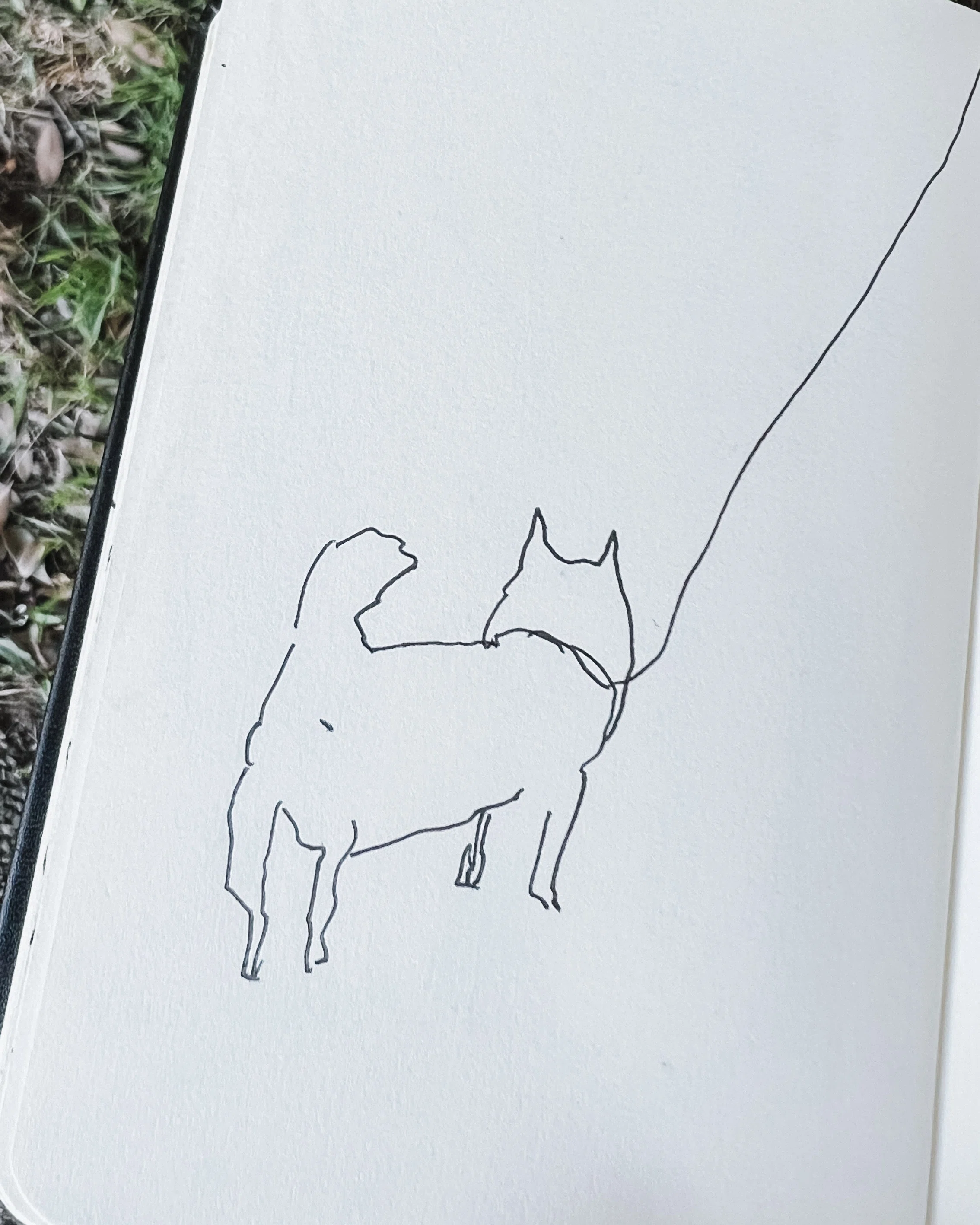 はじめてのnote】イラストレーター｜スケッチ｜トモマツユキ｜トモマツユキ