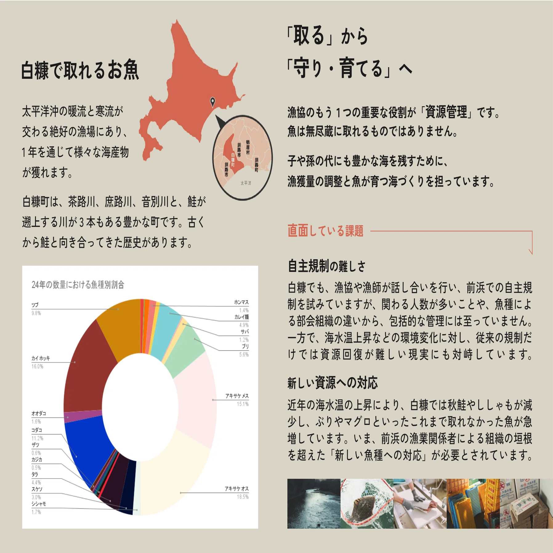漁業協同組合ってどんな組織？｜株式会社シラリカ