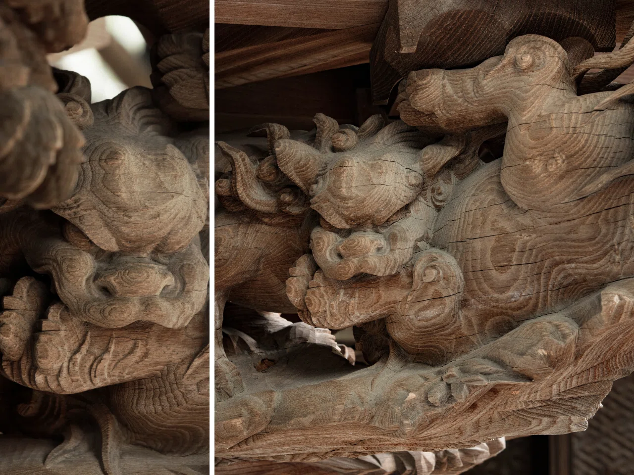 本殿・彫物みくらべ帖＃1－獅子－｜川越氷川神社