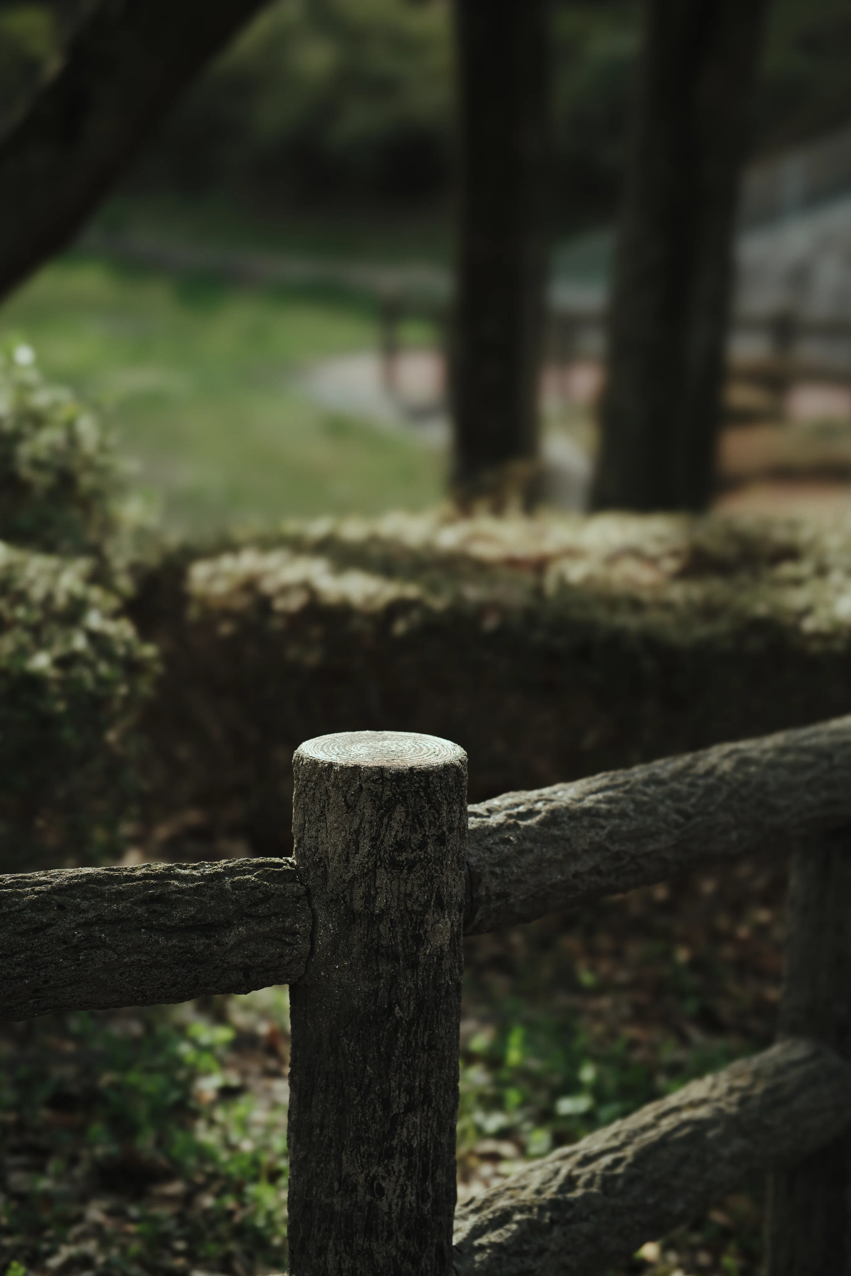 AURORA AF 85mm F1.4 FF のBBL改造｜計画計画
