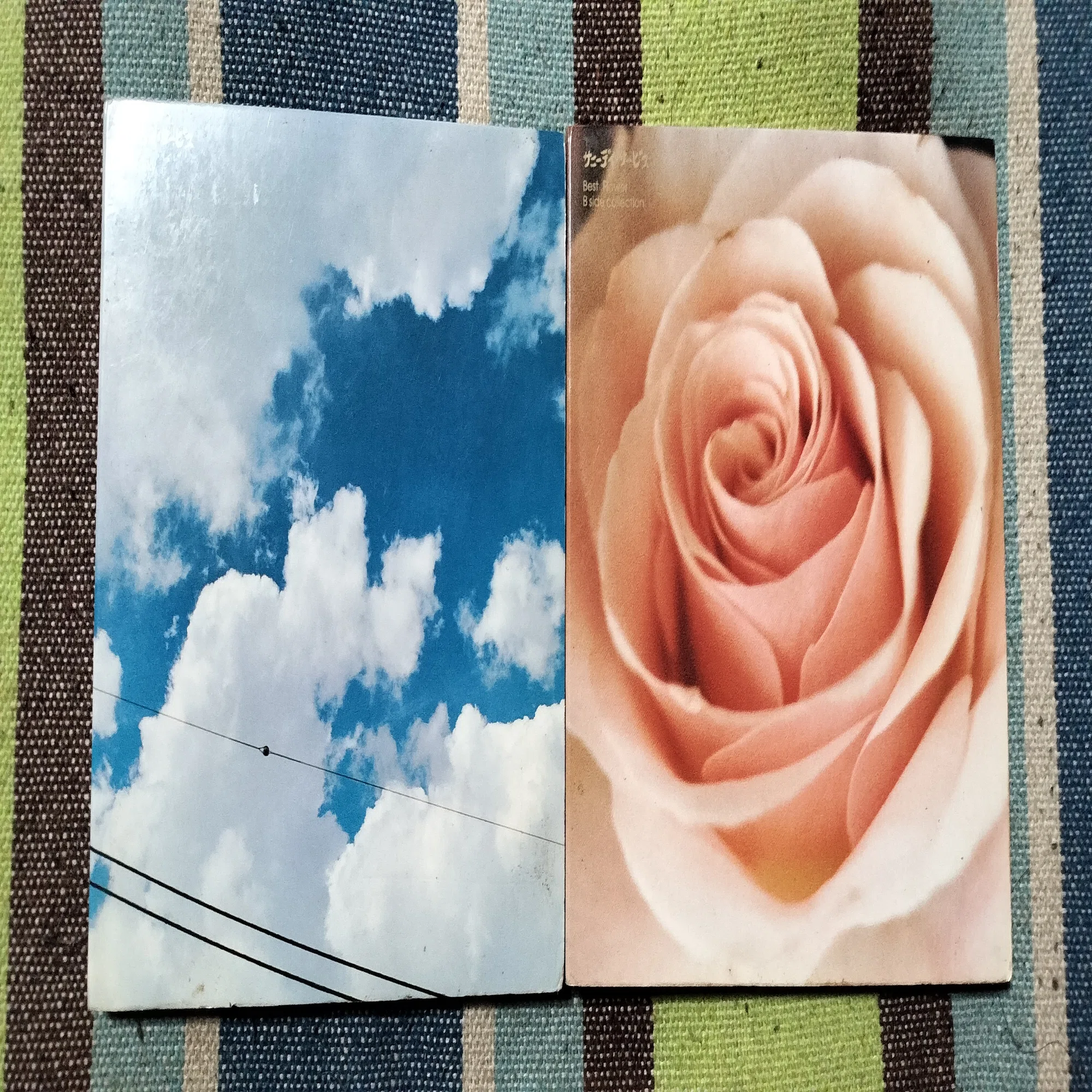 2枚でどうだ〜サニーデイ・サービス『Best Sky』『Best Flower B side 