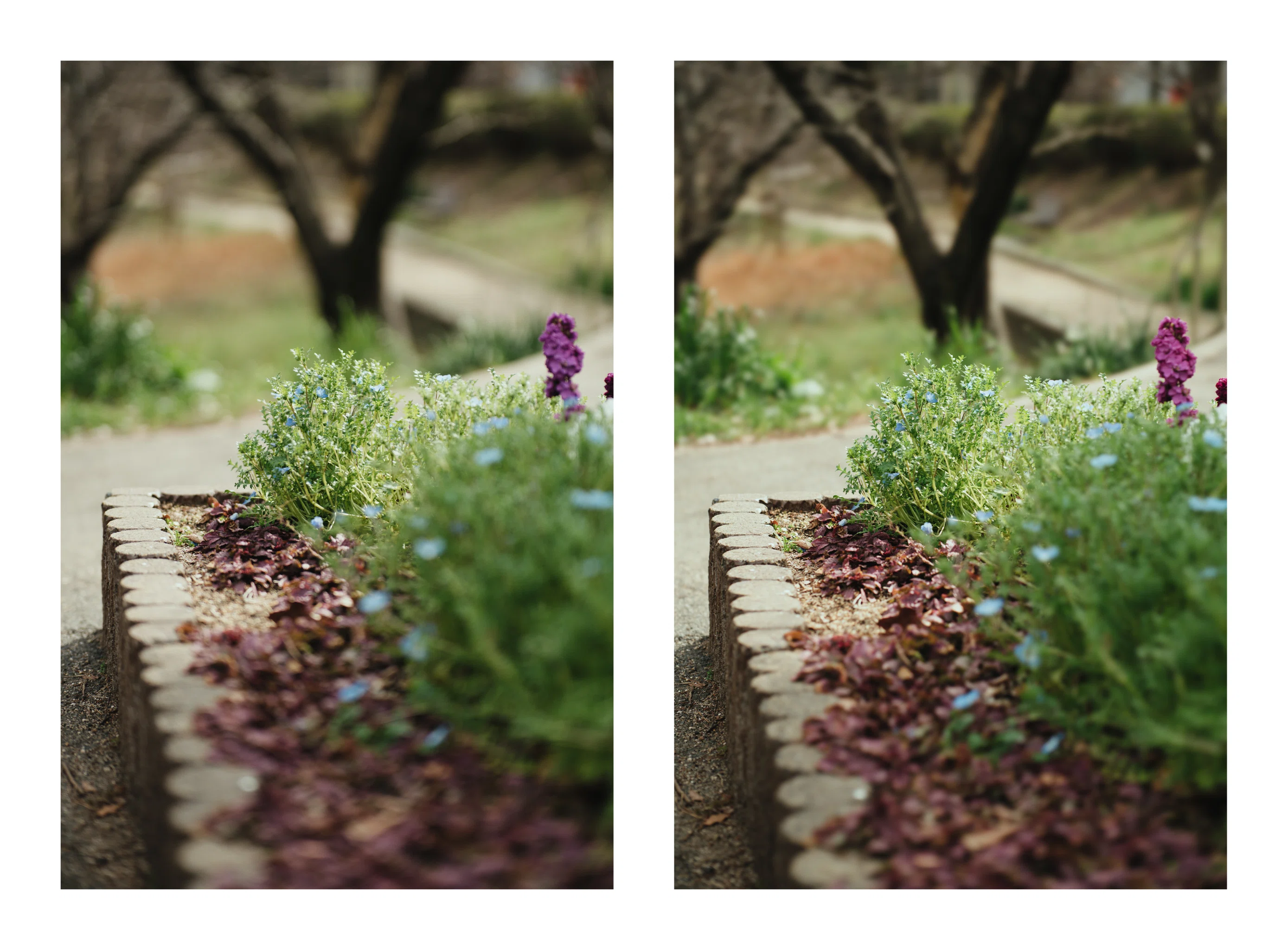 AURORA AF 85mm F1.4 FF のBBL改造｜計画計画