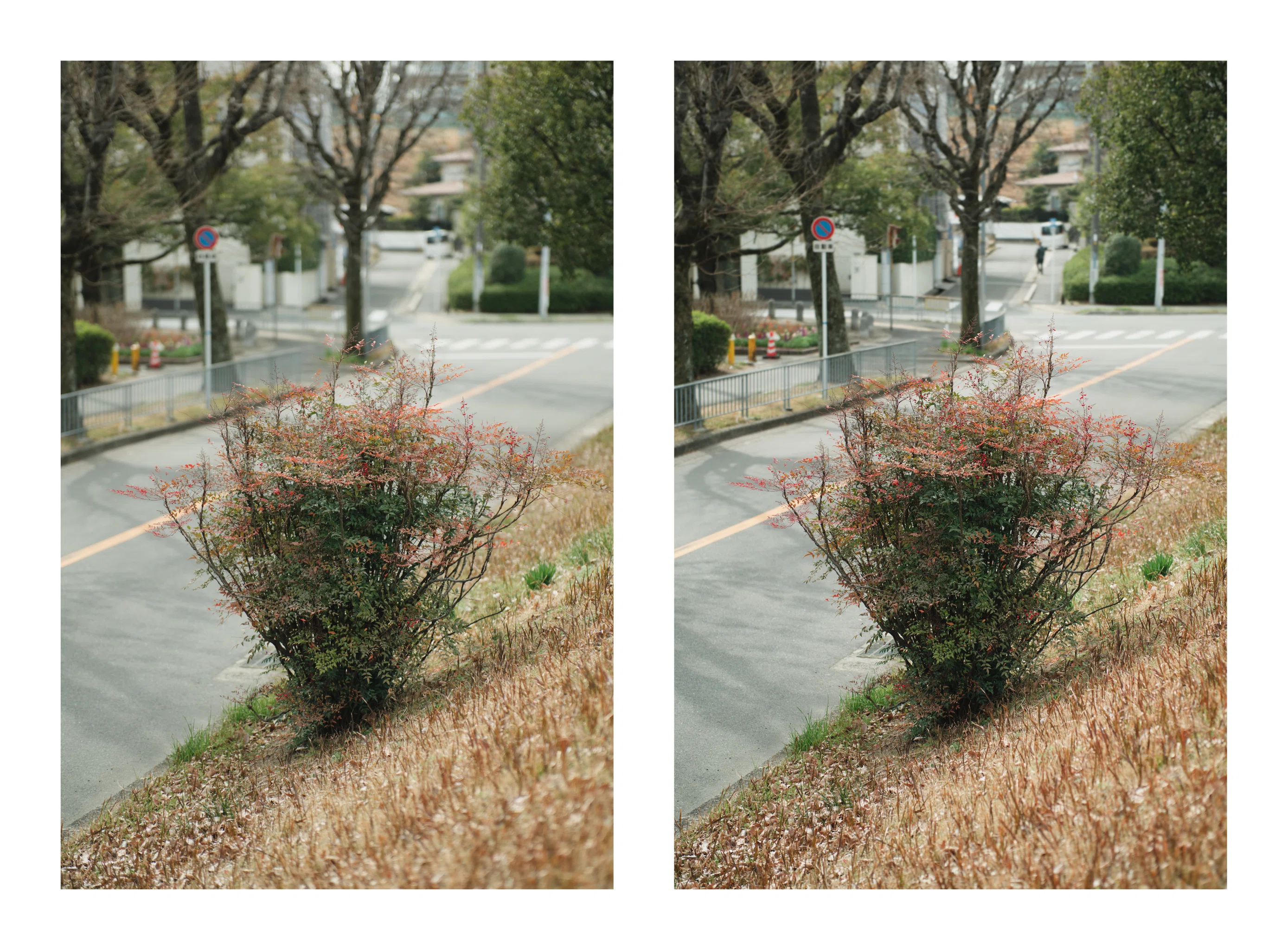 AURORA AF 85mm F1.4 FF のBBL改造｜計画計画