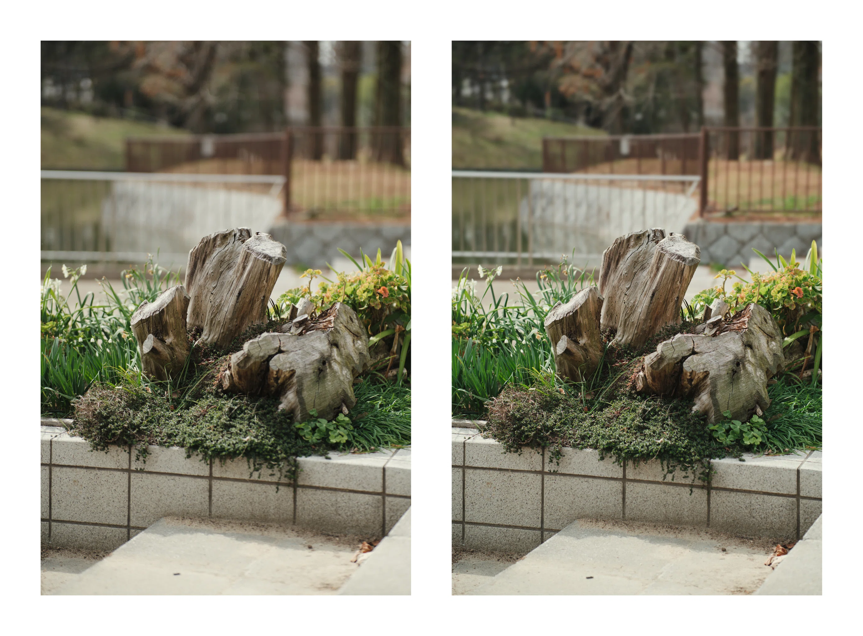 AURORA AF 85mm F1.4 FF のBBL改造｜計画計画