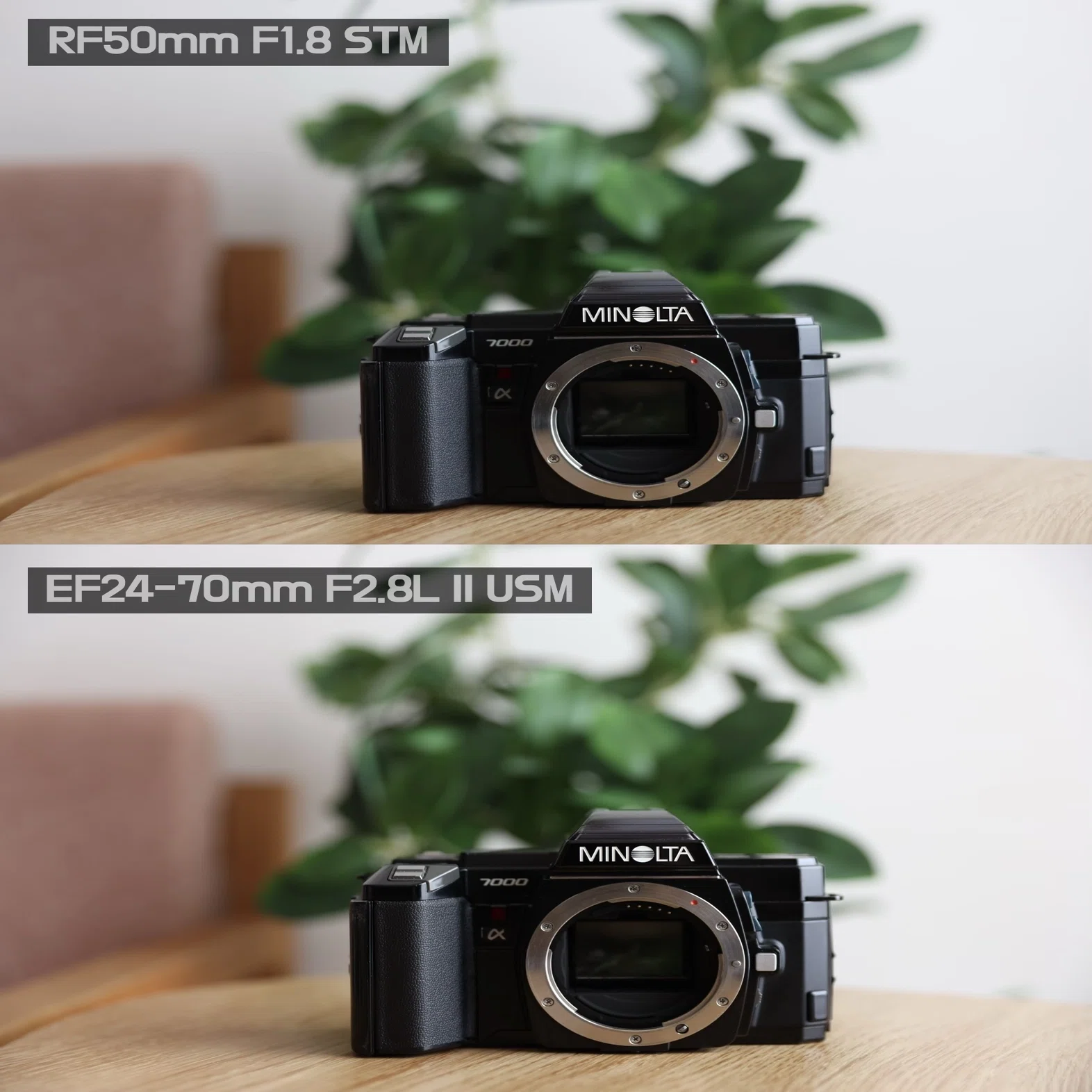 全額返金保証】【最速発送】Canon EF24-70mm F2.8L II USM 動作確認済 