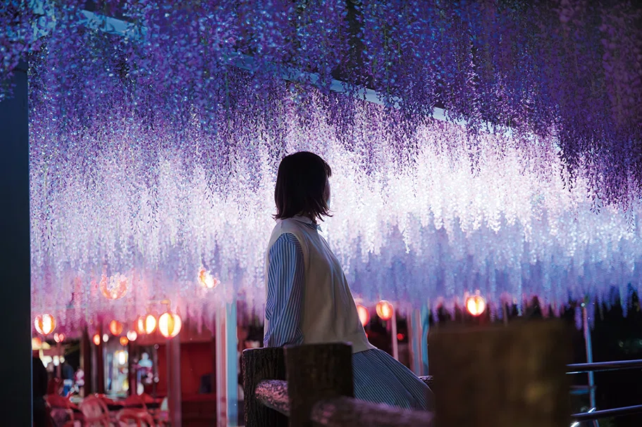 中山大藤まつり］春を感じる可憐で美しい藤の花を愛でる（4/15〜28