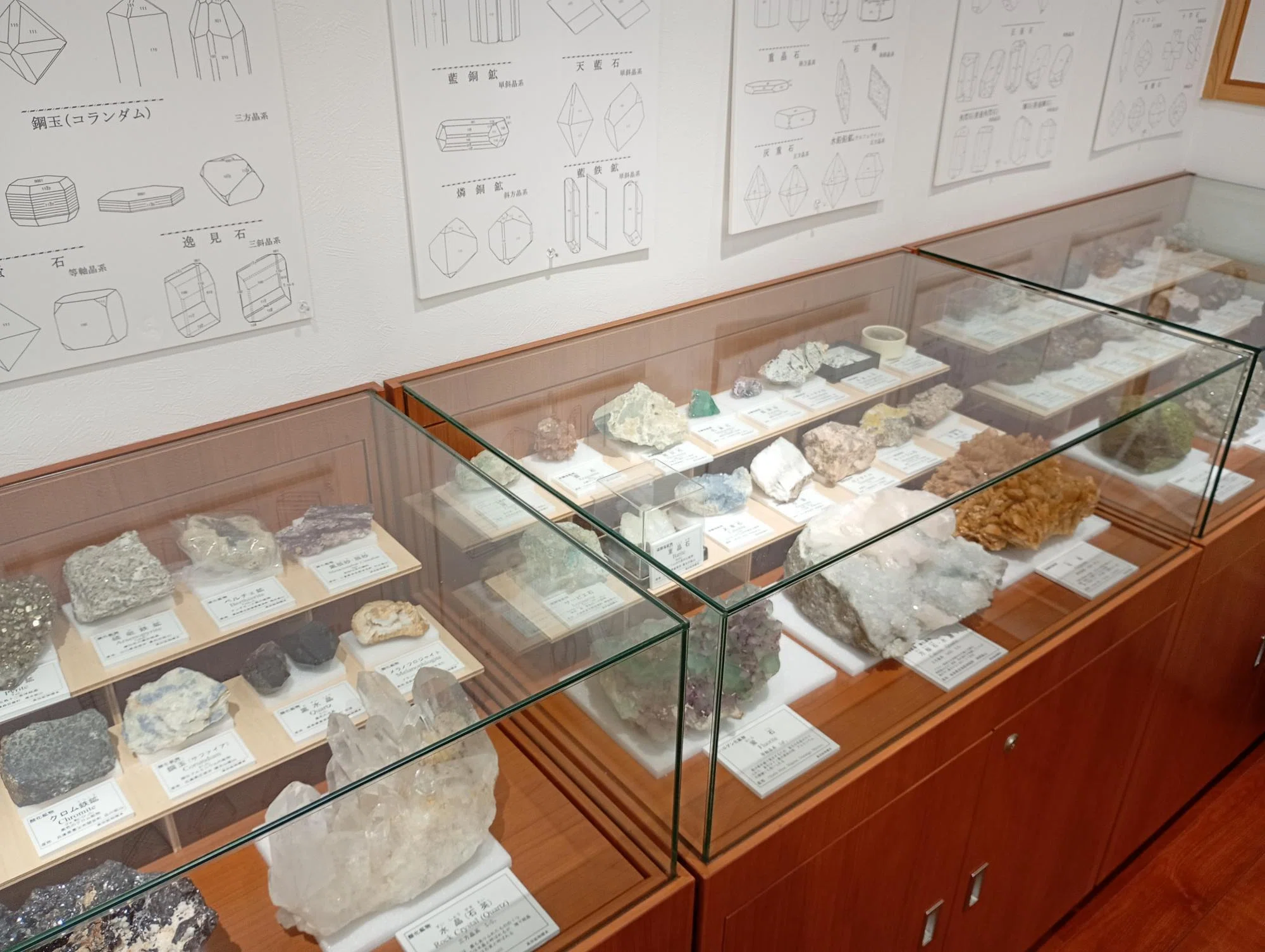 京都市西京区】鉱物に魅せられて60年—小さな博物館には貴重な鉱石が