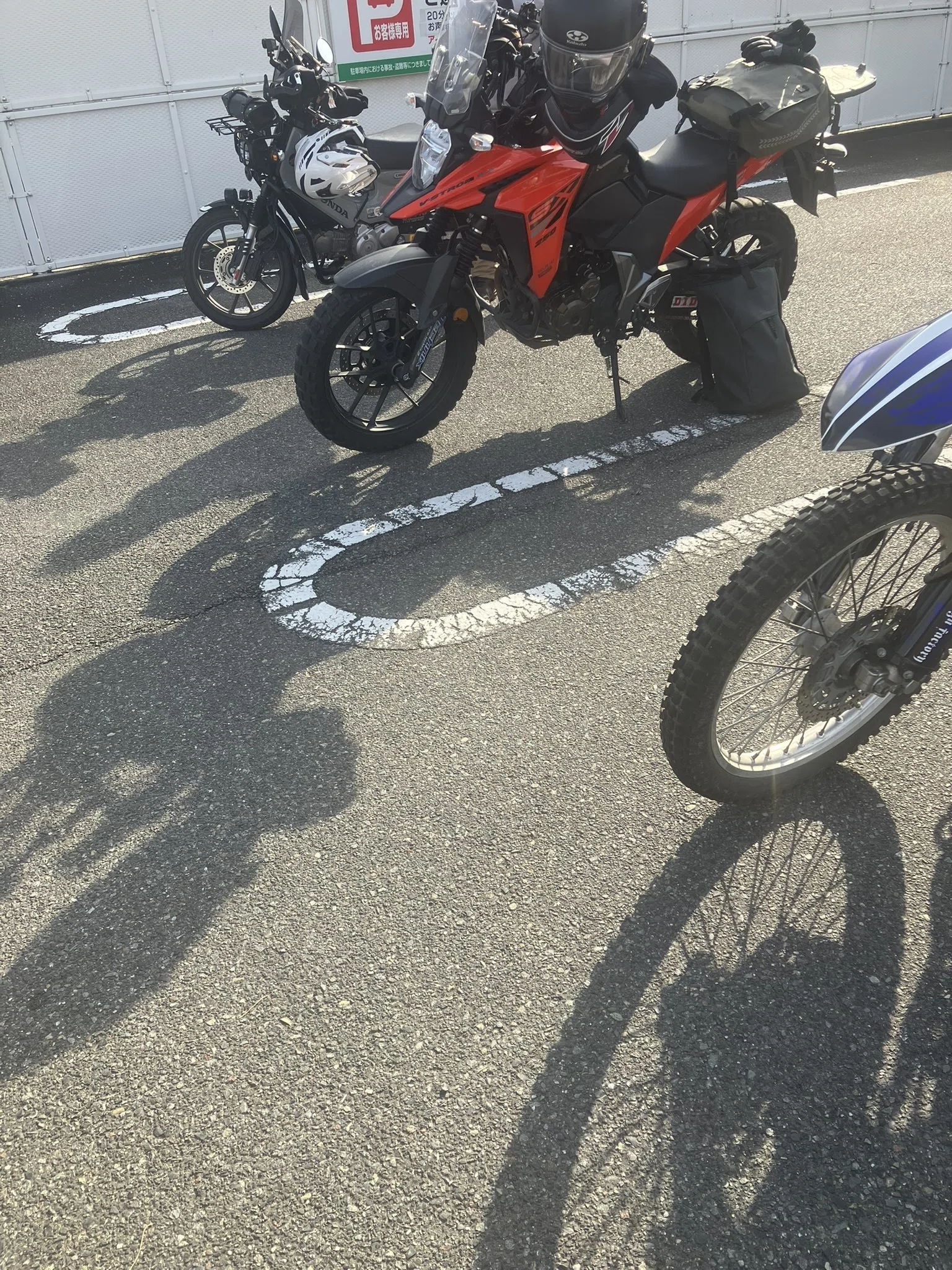 泥沼の先に待っていた、2万本の桃源郷。奈良・賀名生（あのう）梅林