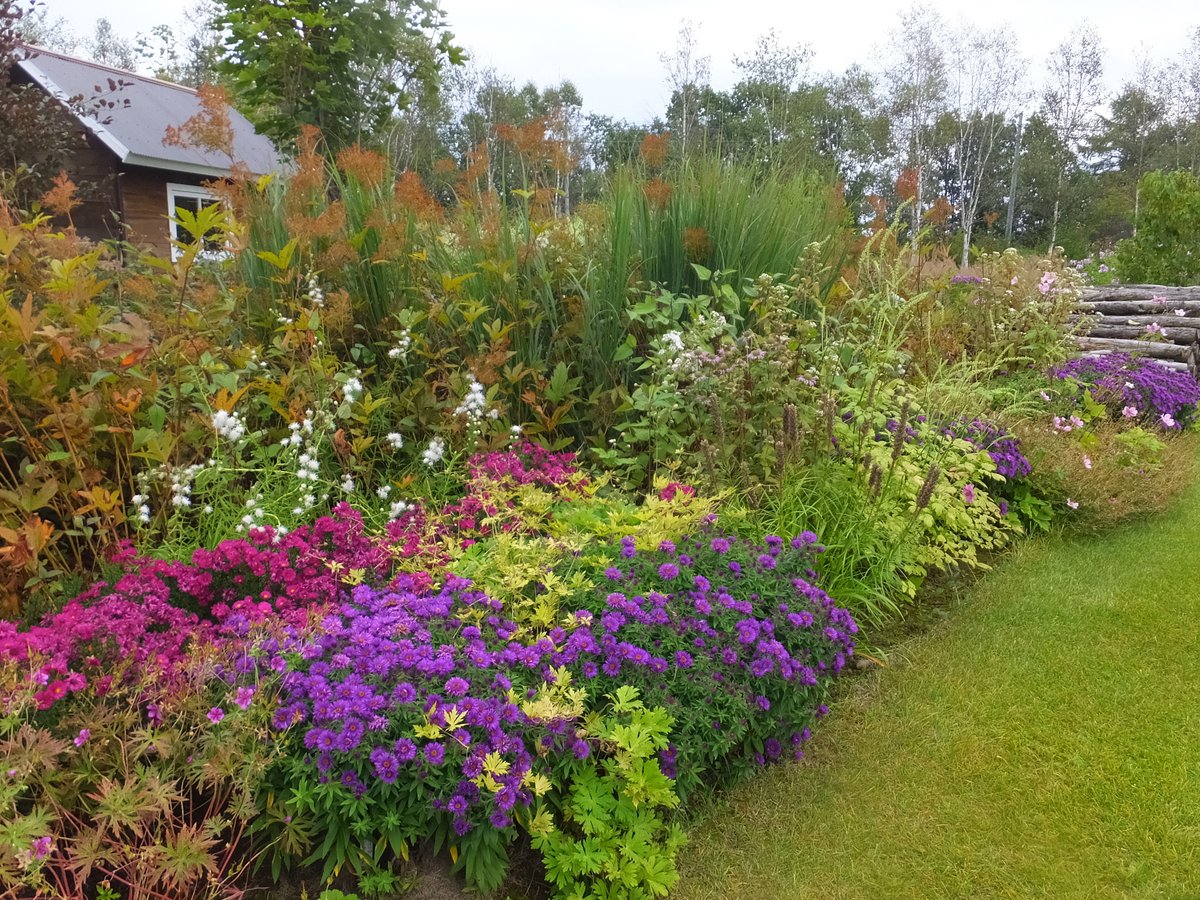 ガーデンデザインの基本【第1回】宿根草のガーデンデザインって何だろう？――庭が「なんとなく素敵」に見える理由