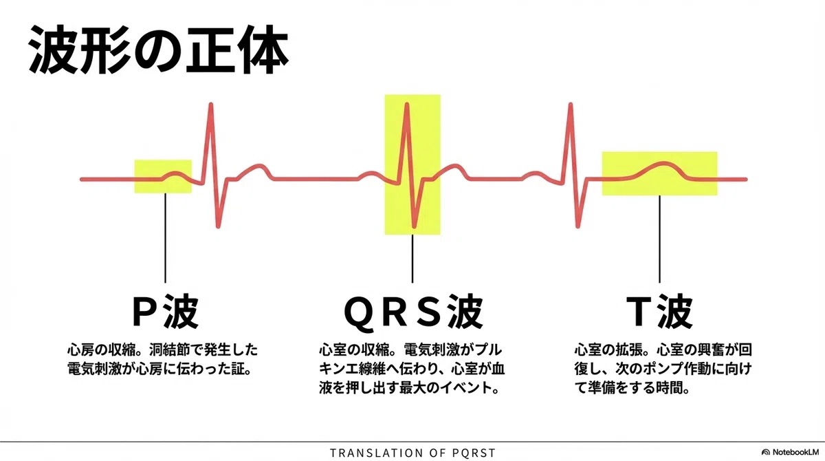 保存版】モニター心電図の正しい装着と読み方：アセスメントの鍵は