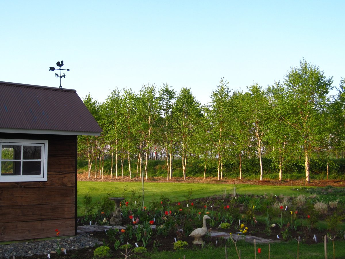 ガーデンデザインの基本【第3回】：宿根草の選び方、まず押さえたい3つの基本――日当たり・草丈・開花期