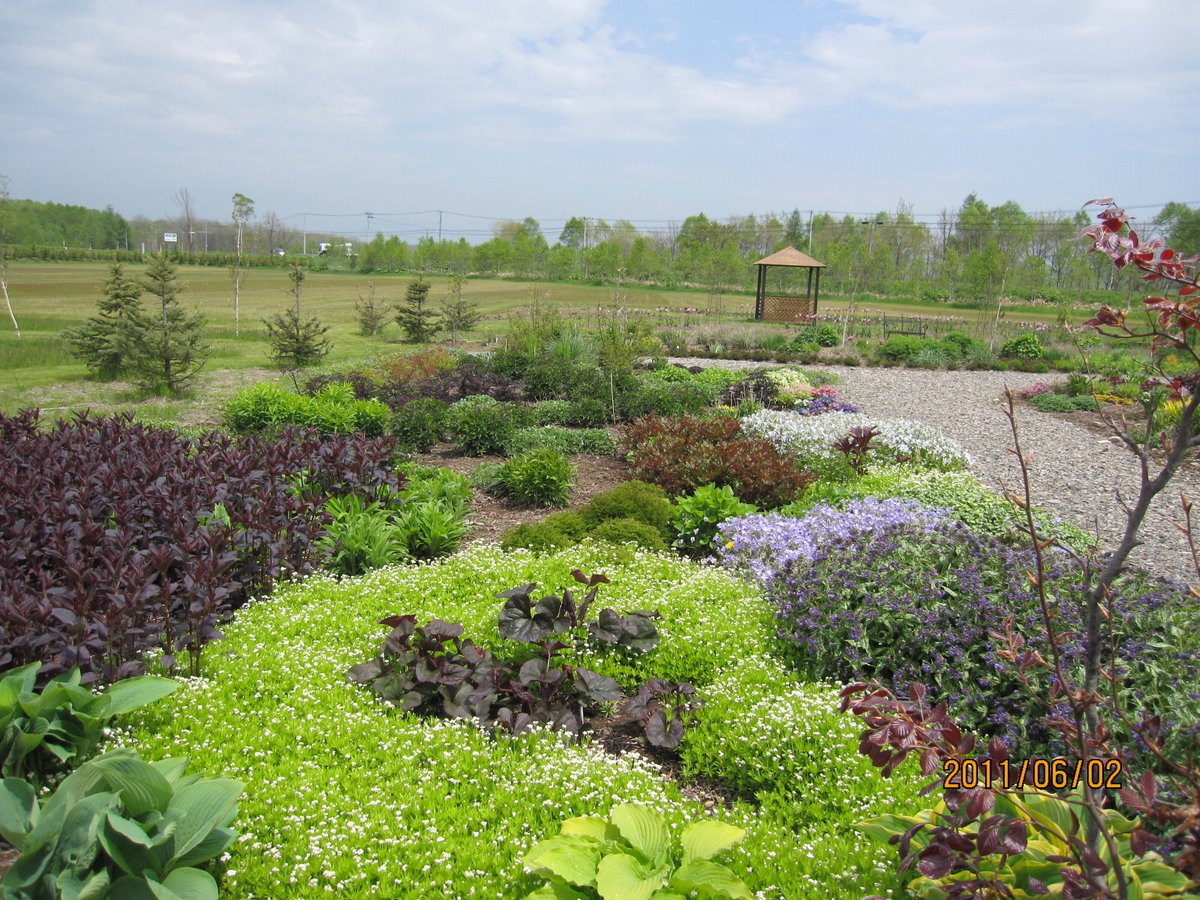 ガーデンデザインの基本【第4回】：宿根草の庭づくり、色と質感の組み合わせ方――花だけじゃない、葉で魅せるガーデンデザイン