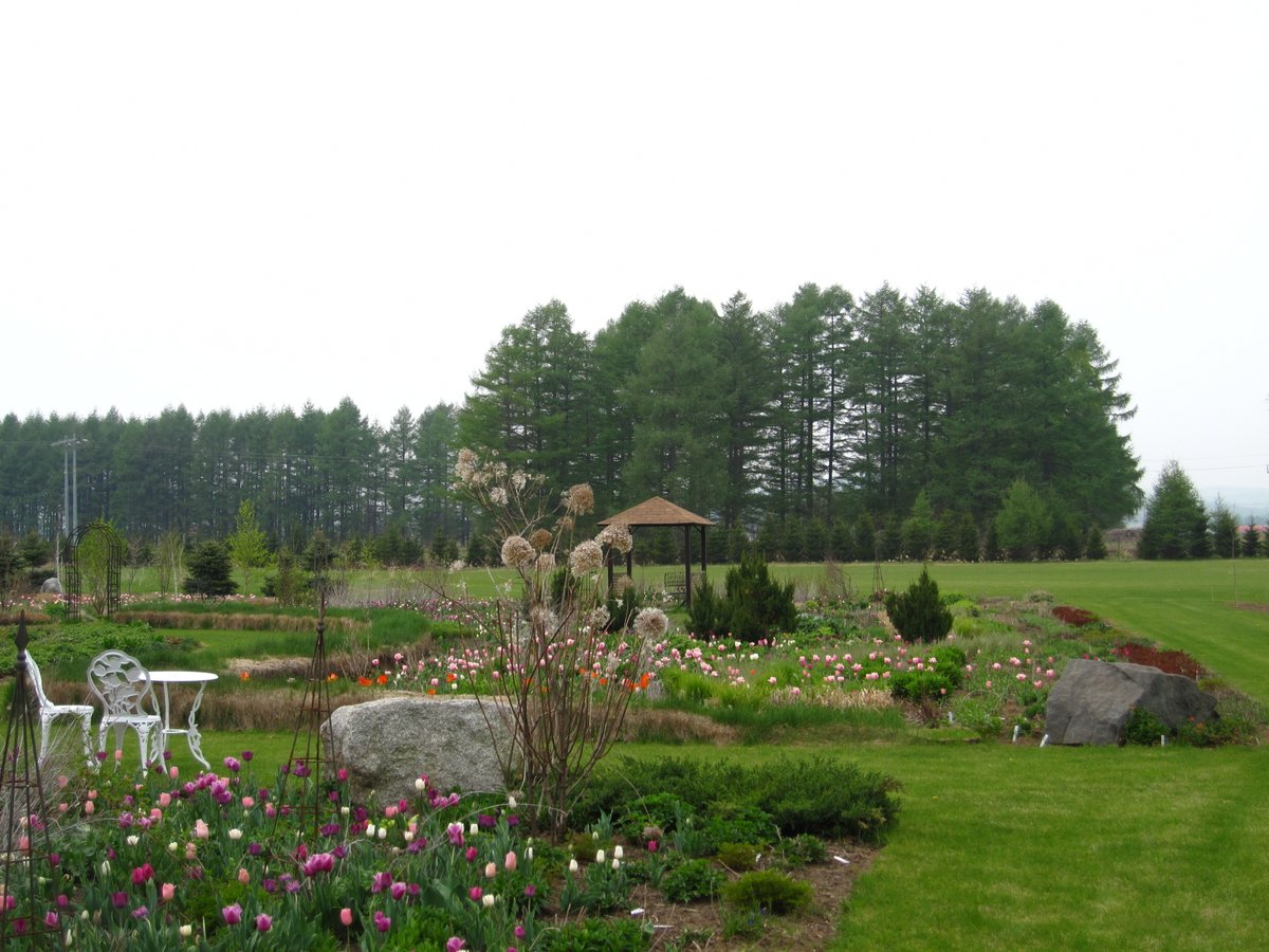 ガーデンデザインの基本【第5回】：四季を通じて楽しむ宿根草の庭づくり――開花リレーで花の途切れない庭をつくろう