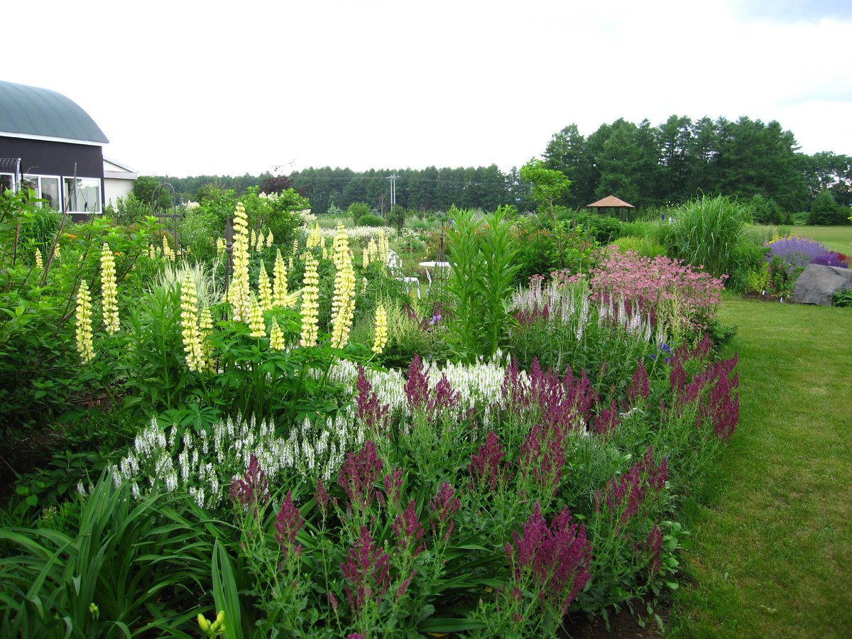 ガーデンデザインの基本【第6回】：宿根草をうまく使うコツ――手入れ次第で庭はもっと美しくなる