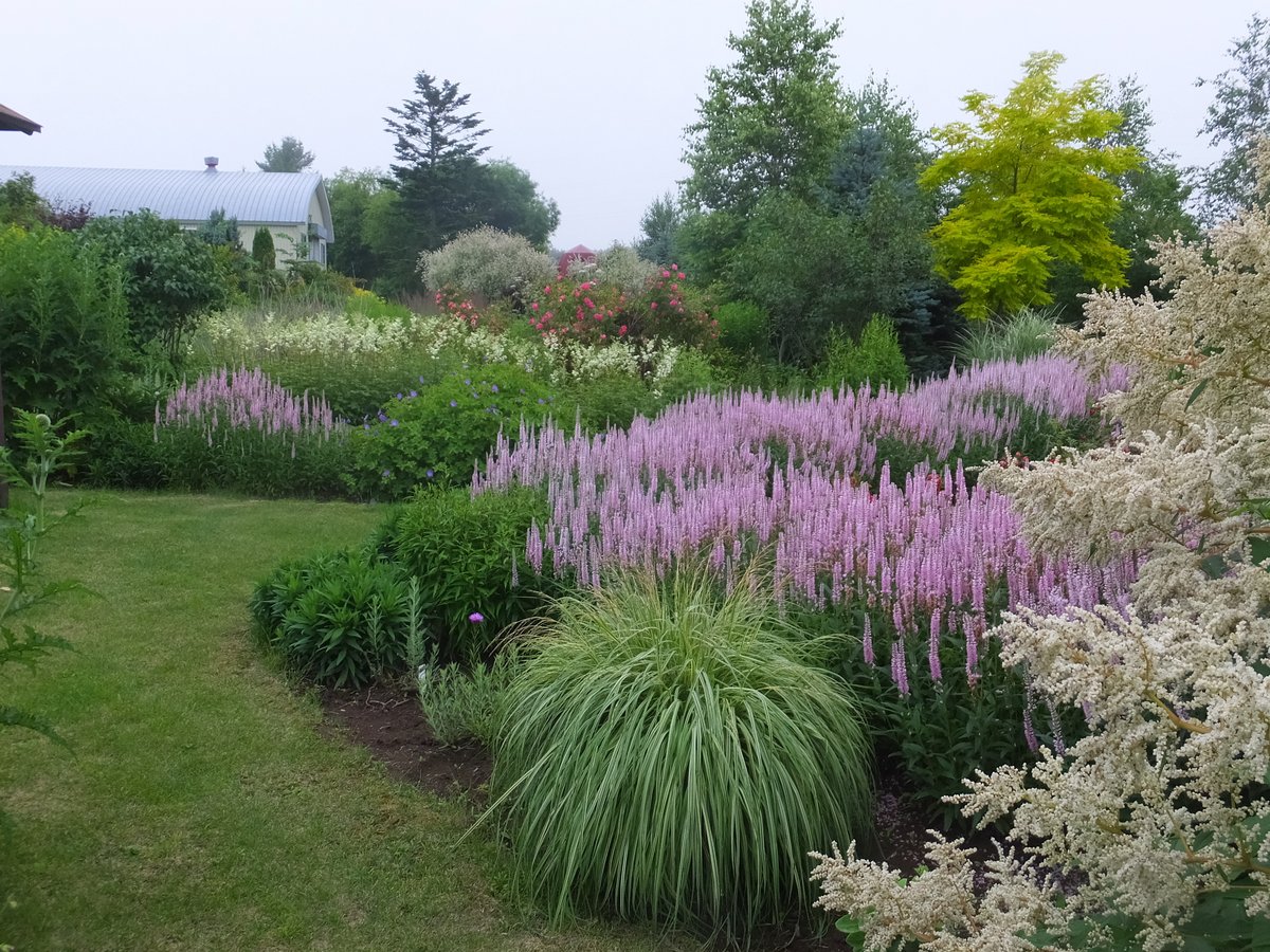 ガーデンデザインの基本【第7回】：宿根草の庭づくり、初心者がやりがちな失敗と対策――知っていれば防げる3つの落とし穴