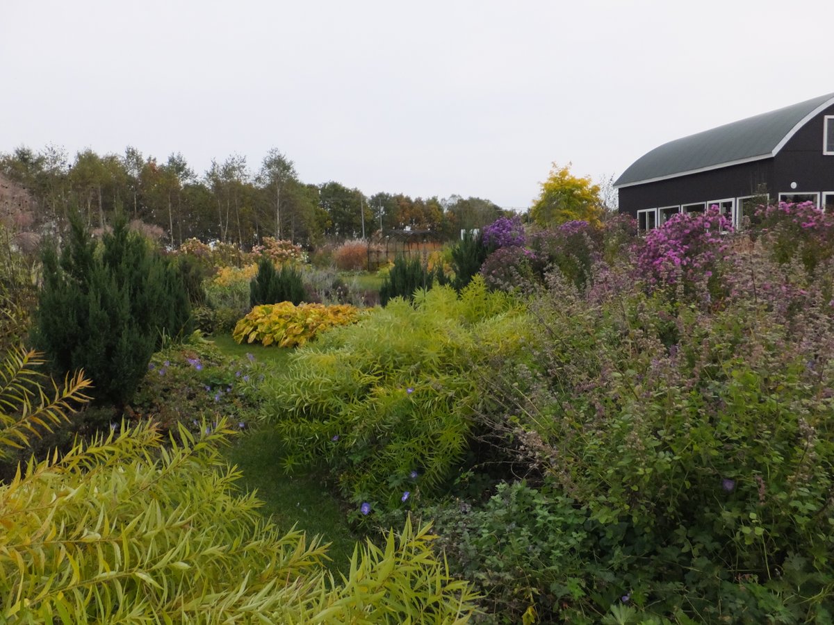 ガーデンデザインの基本【第8回目】：北海道ならではの宿根草ガーデンデザイン――寒冷地だからこそ美しい庭がある