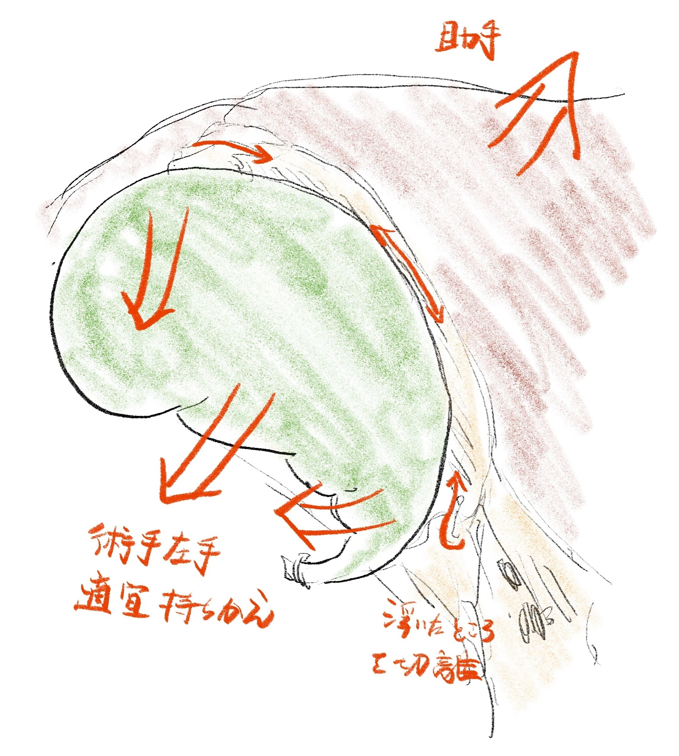 腹腔鏡下胆のう摘出術のコツ｜レジデントが最初に知っておきたい実践