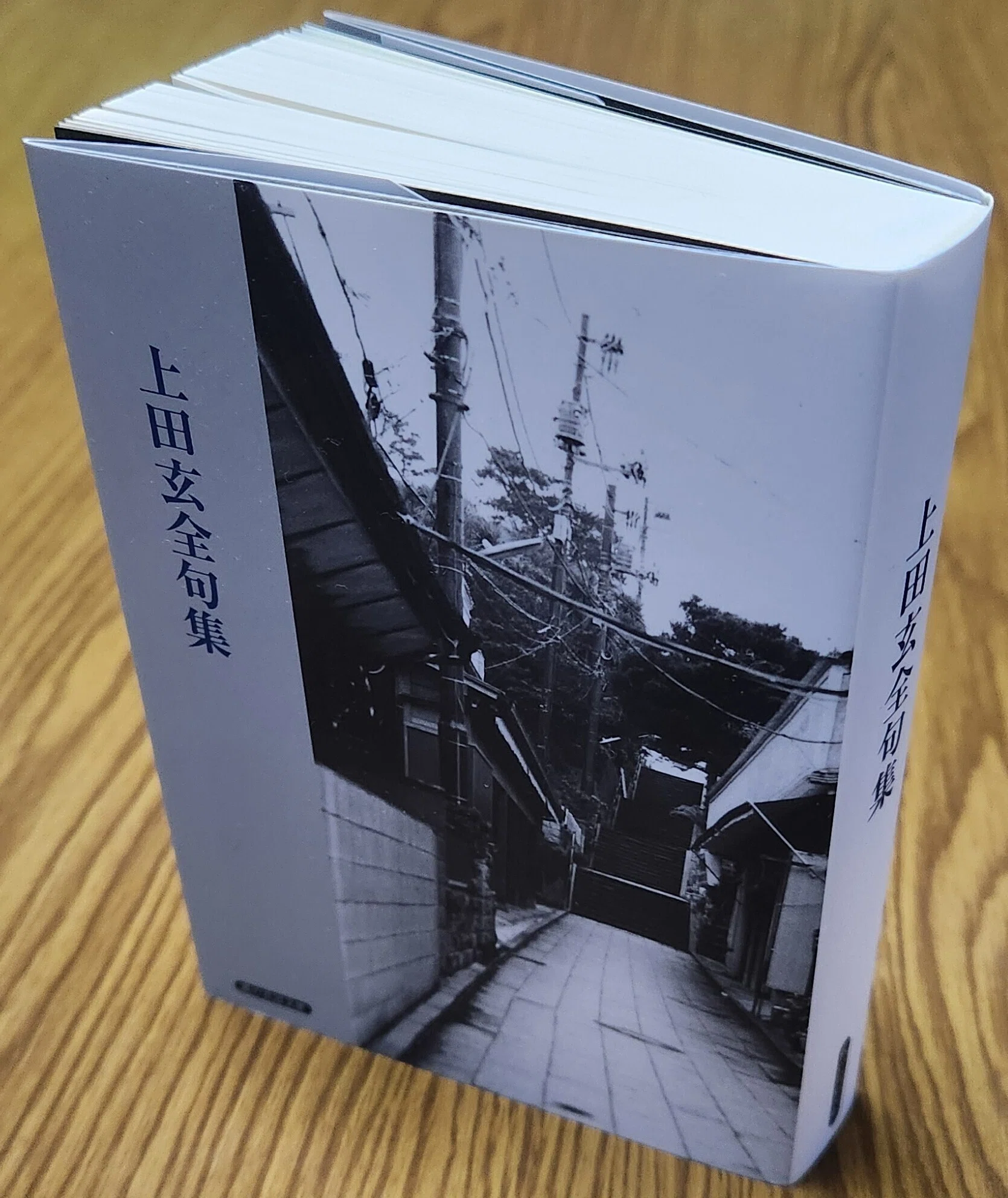 上田玄全句集』考ー決して癒されまいとすることを意思の真中に置く詩魂