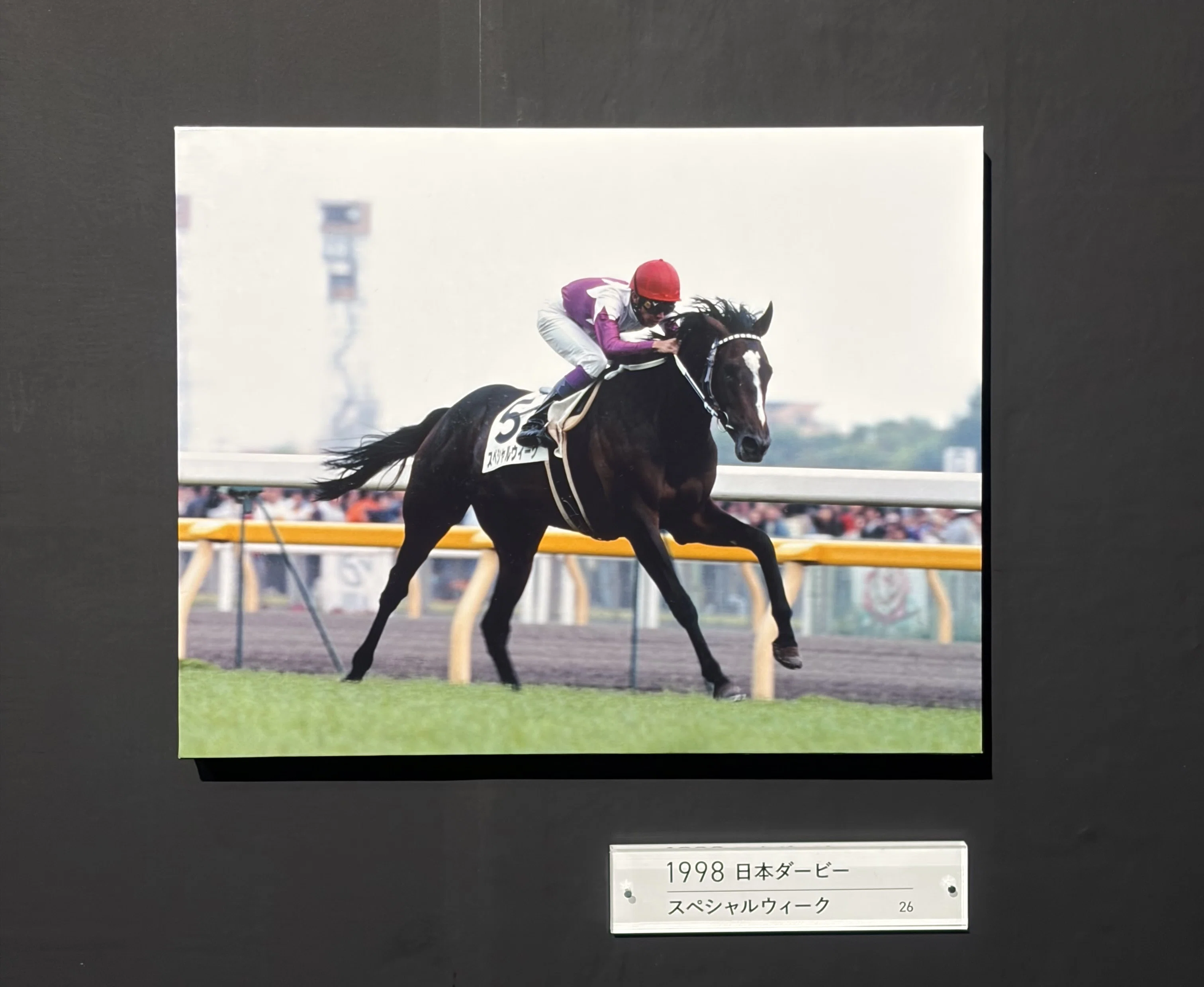 スペシャルウィーク　武豊　日本ダービー　競走馬　パネル 残り86】レジェンド騎手に魅せられて。マブダチと行く「デビュー40周年