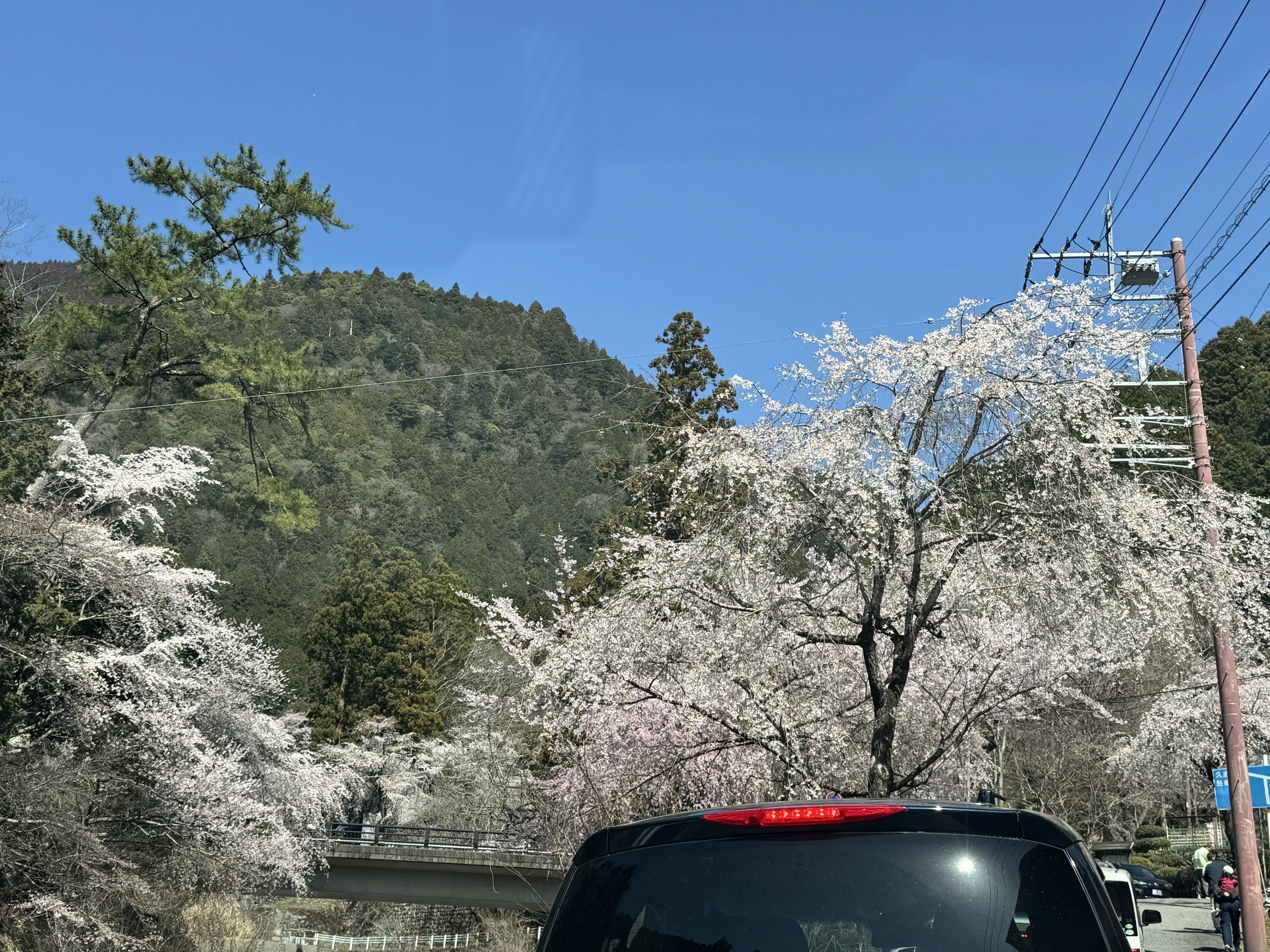 旅】 身延山「久遠寺」の桜へ日帰り旅｜渋滞で消耗して気づいた、ラク