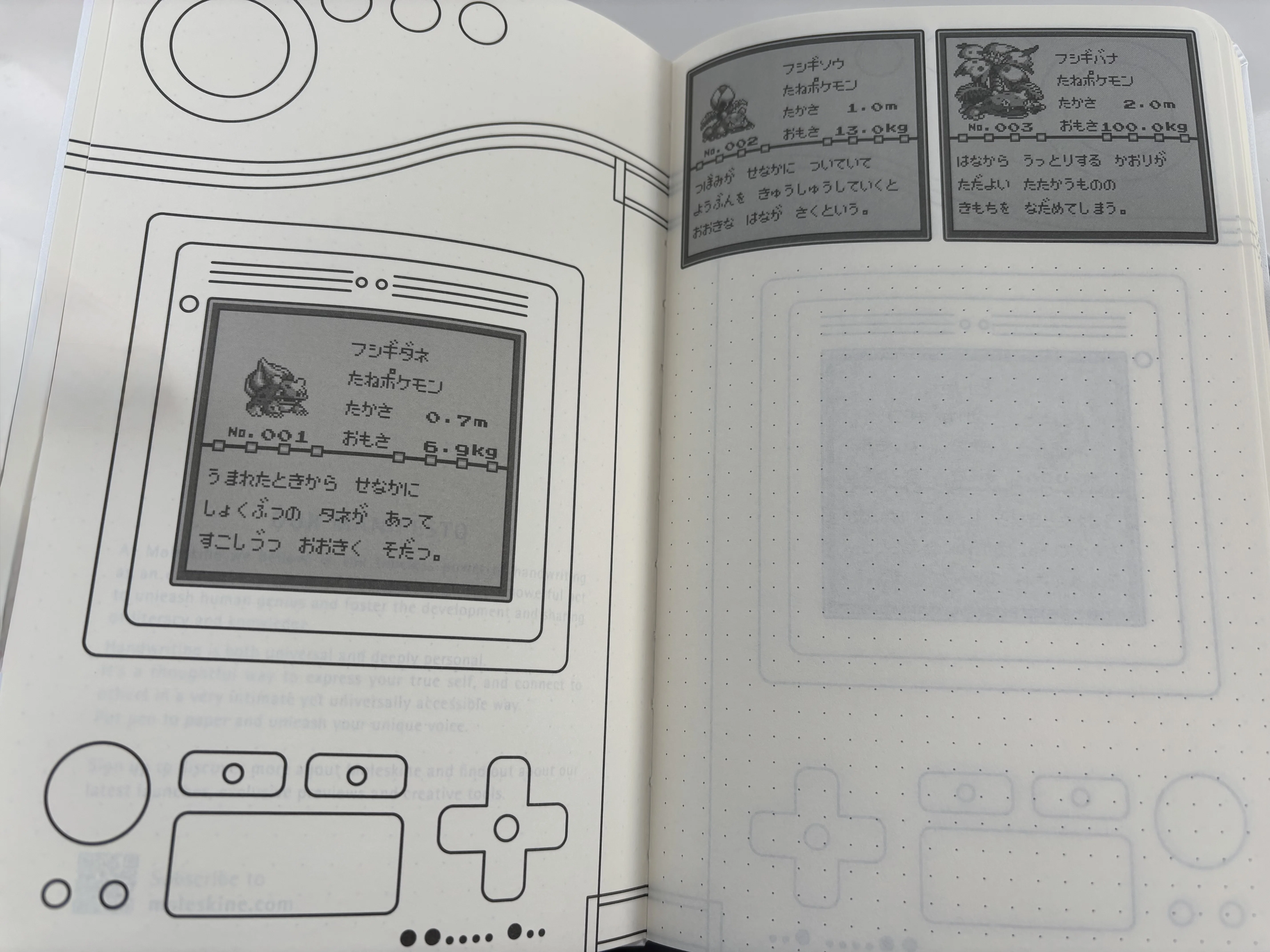 これは…ポケモン図鑑！？ Pokémon Timeless Adventure オリジナル