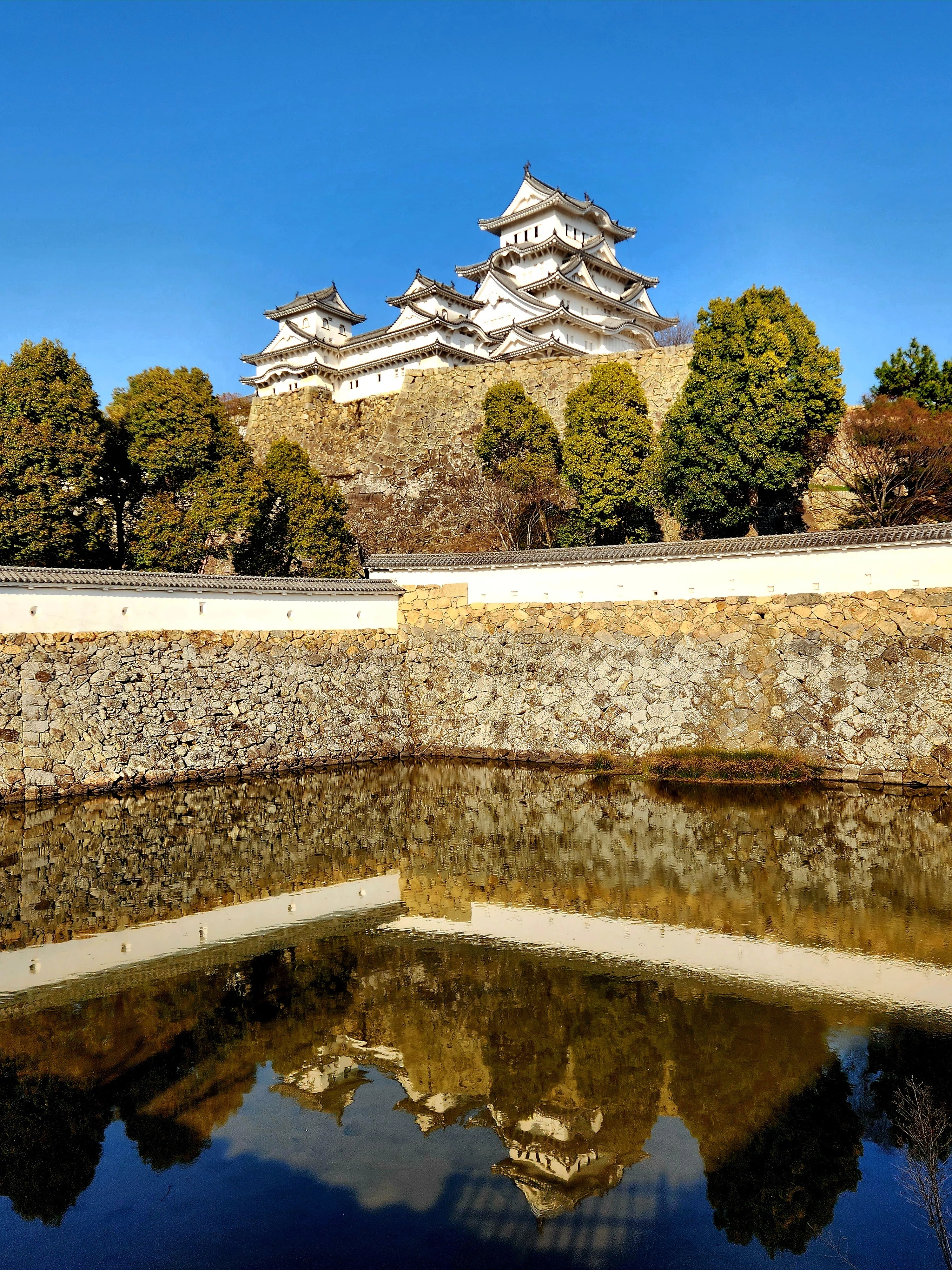フォトアルバム】世界遺産 姫路城に行ってきた｜大下 はなこ