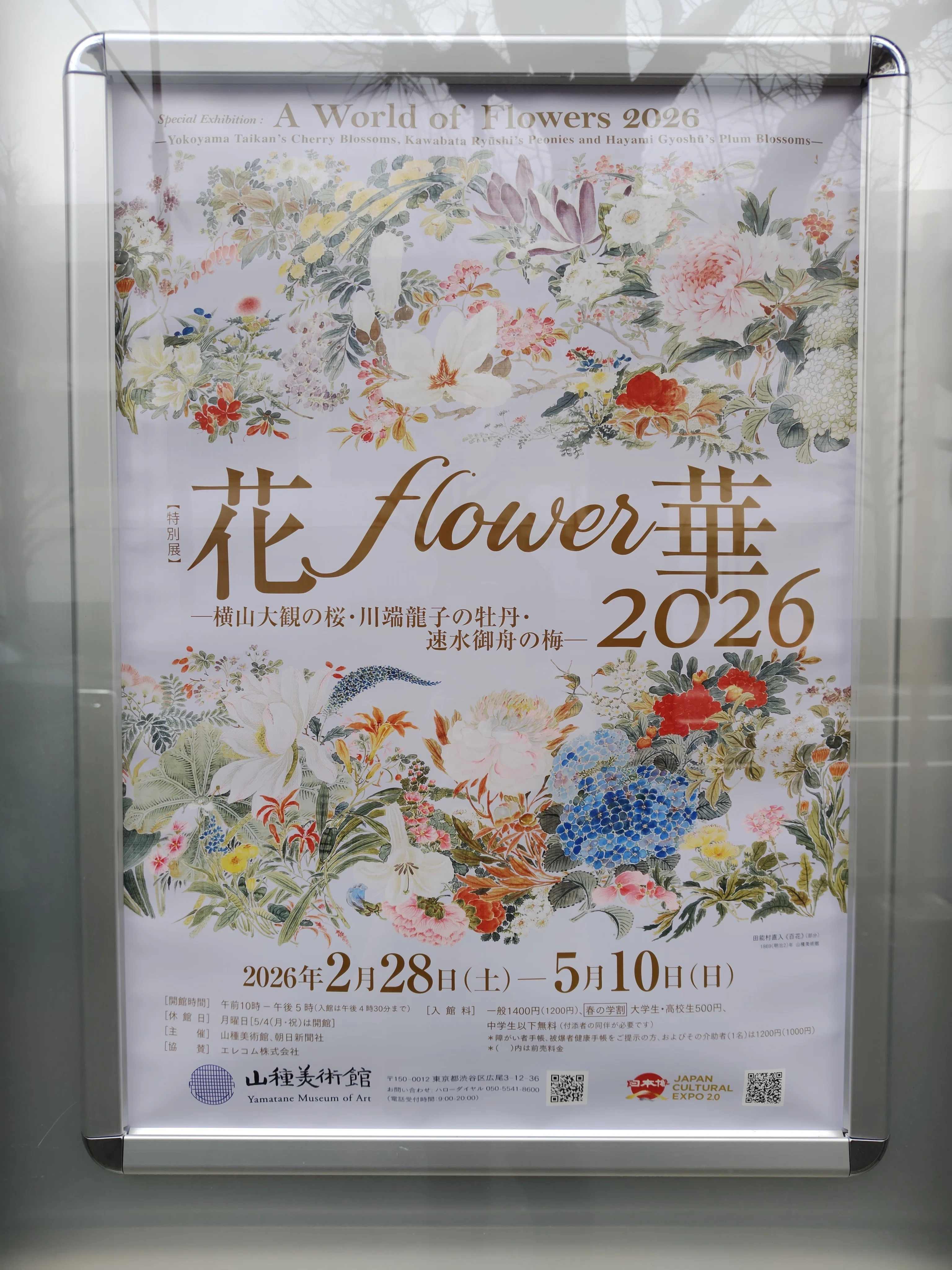 山種美術館は春爛漫、花満開の話。｜ヒサミ｜湯坂町書肆