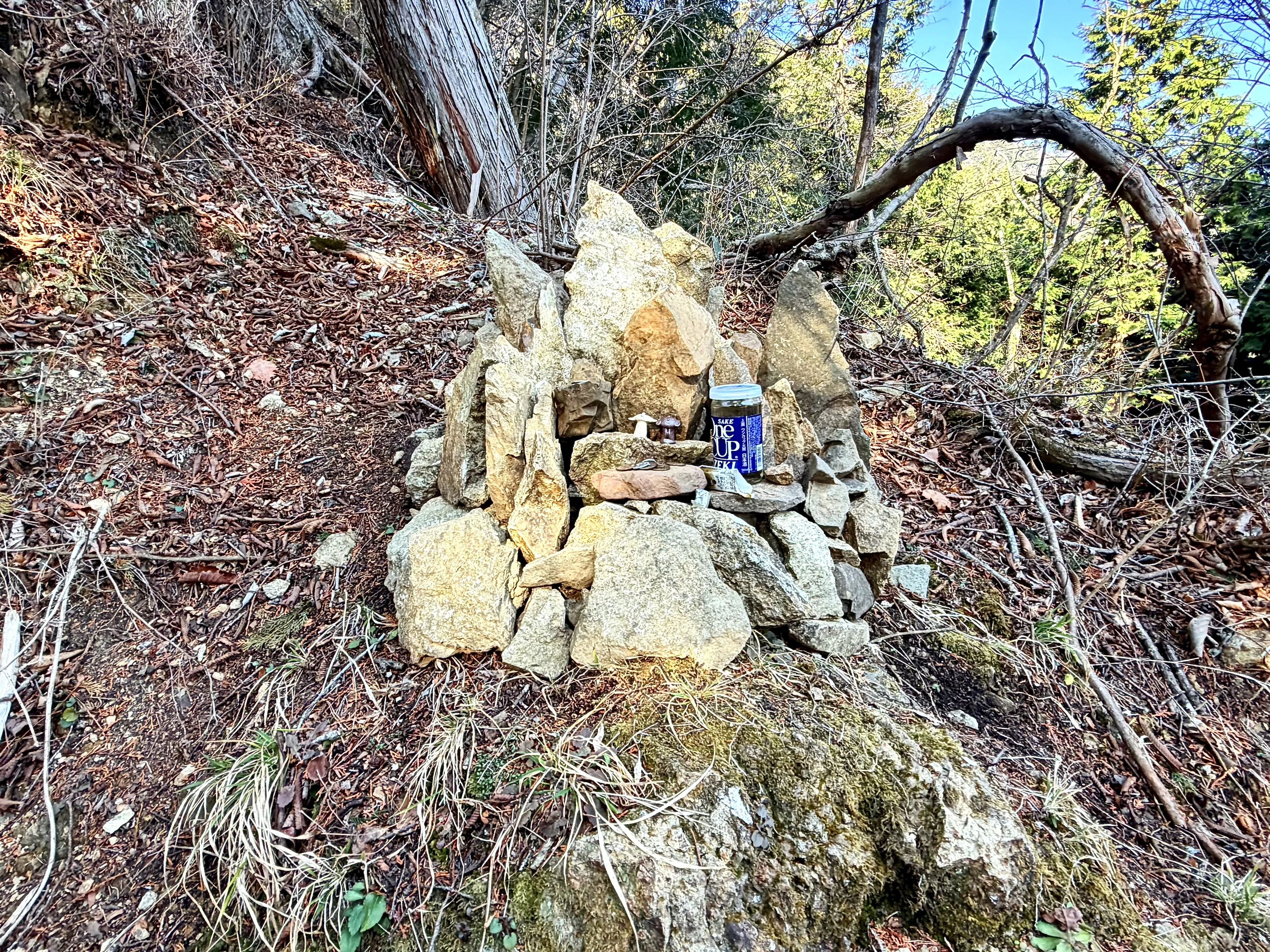丹沢山地のヤビツ峠でデジタルデトックスの難しさを知る｜ほぼ63世