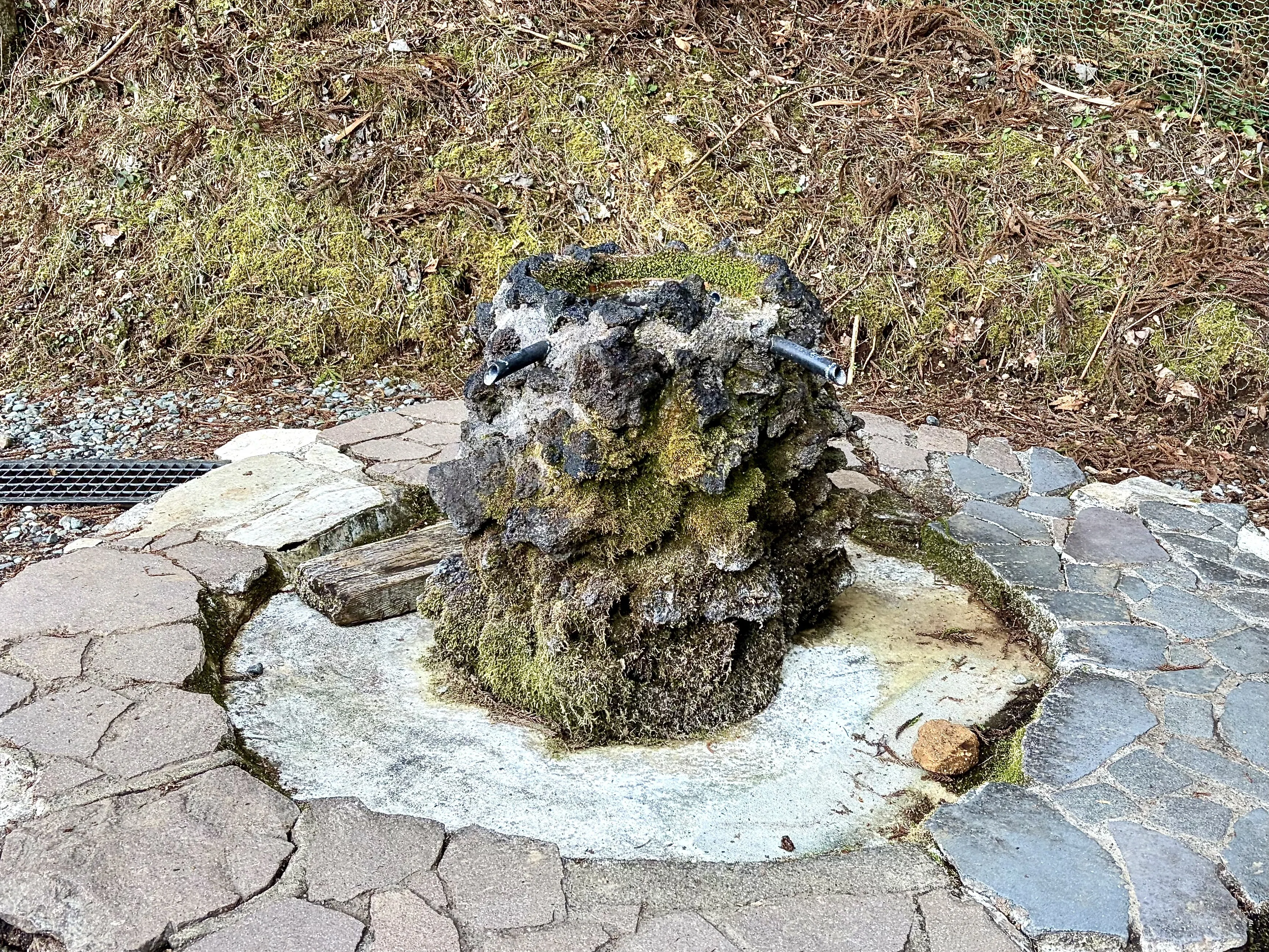 丹沢山地のヤビツ峠でデジタルデトックスの難しさを知る｜ほぼ63世