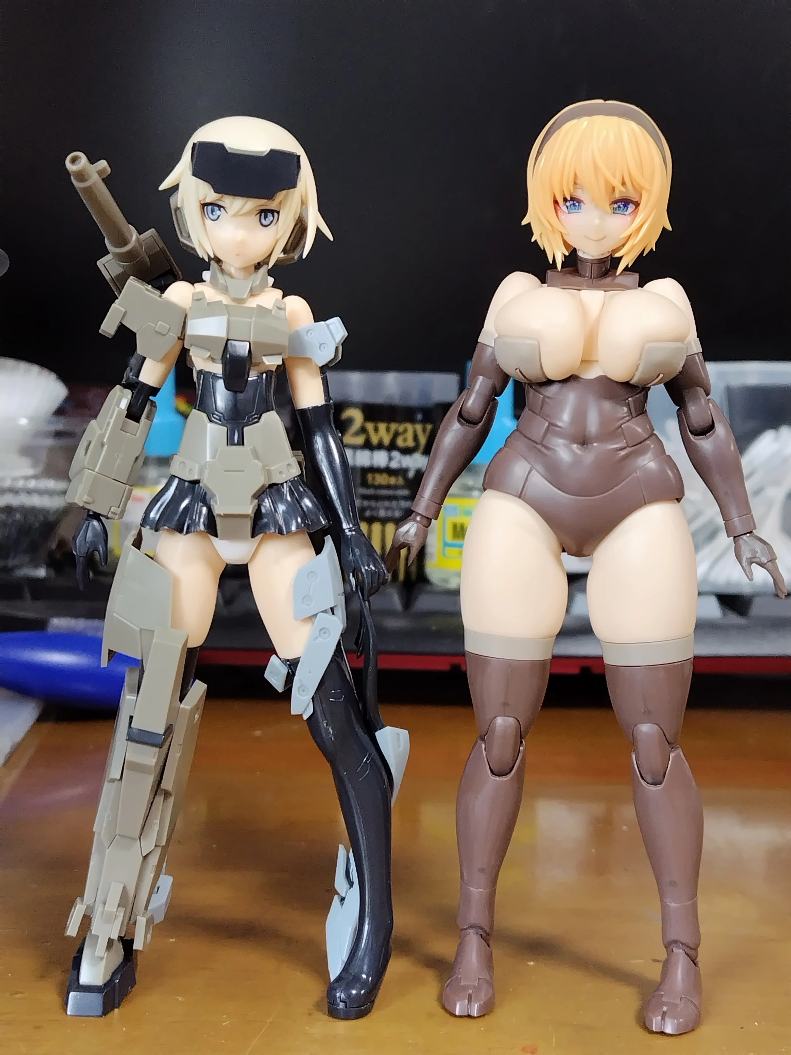 フレームアームズ・ガール 輝鎚・甲(カグツチ・コウ) 箱絵＆軽めの