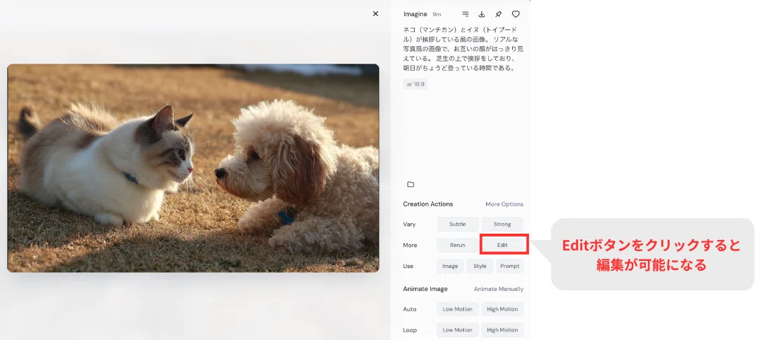 画像をクリックし、Editボタンをクリックして編集画面に移動する