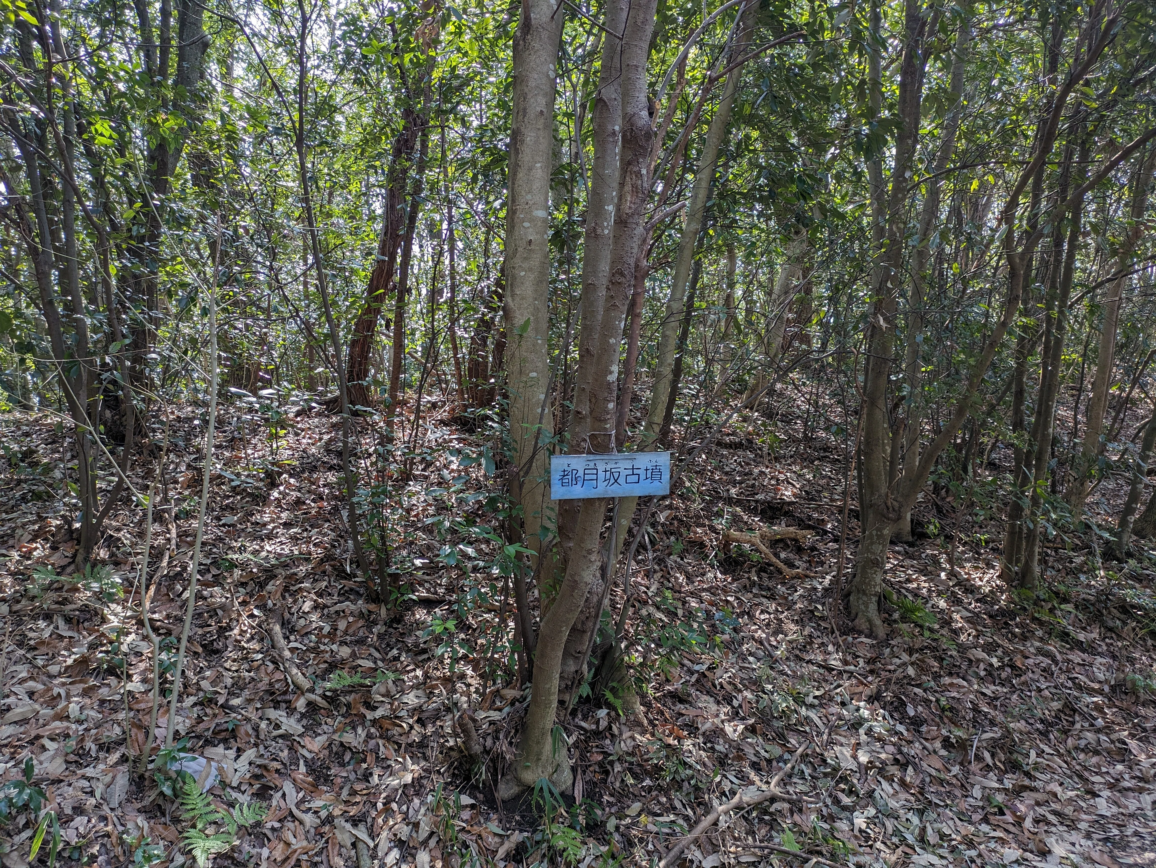 埴輪の故郷を巡る旅｜古墳時代史解題