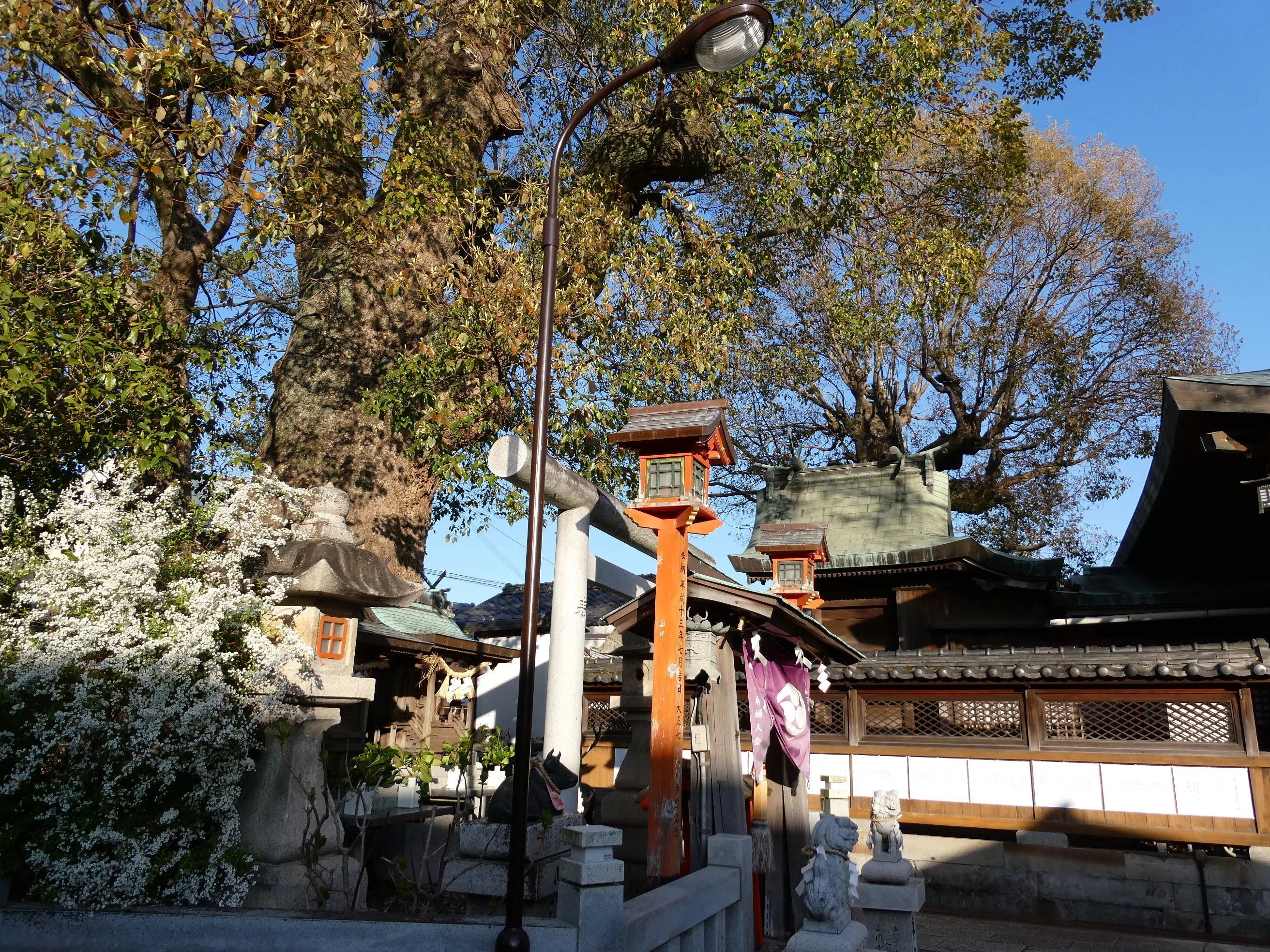 紀貫之と清少納言「蟻通神社」法螺貝に一本の糸を通す【和歌山シリーズ