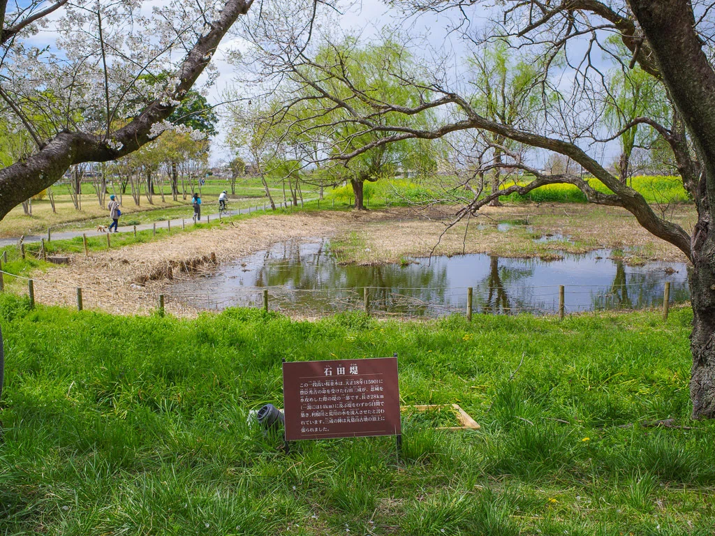 埼玉｜桜と歴史が織りなすフォトスポットさきたま古墳公園｜旅ひたき