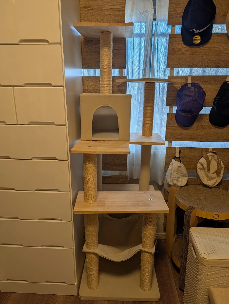 51 買い替えて大正解だったキャットタワーと、猫のリアルな反応｜ashimama